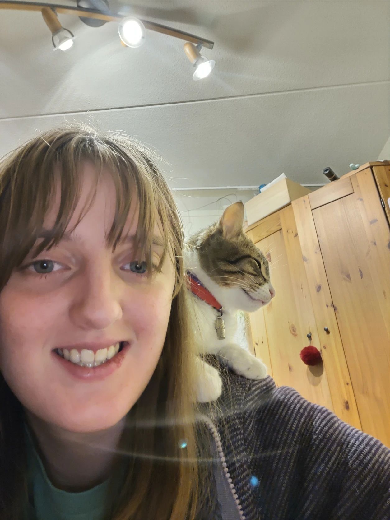 image-3