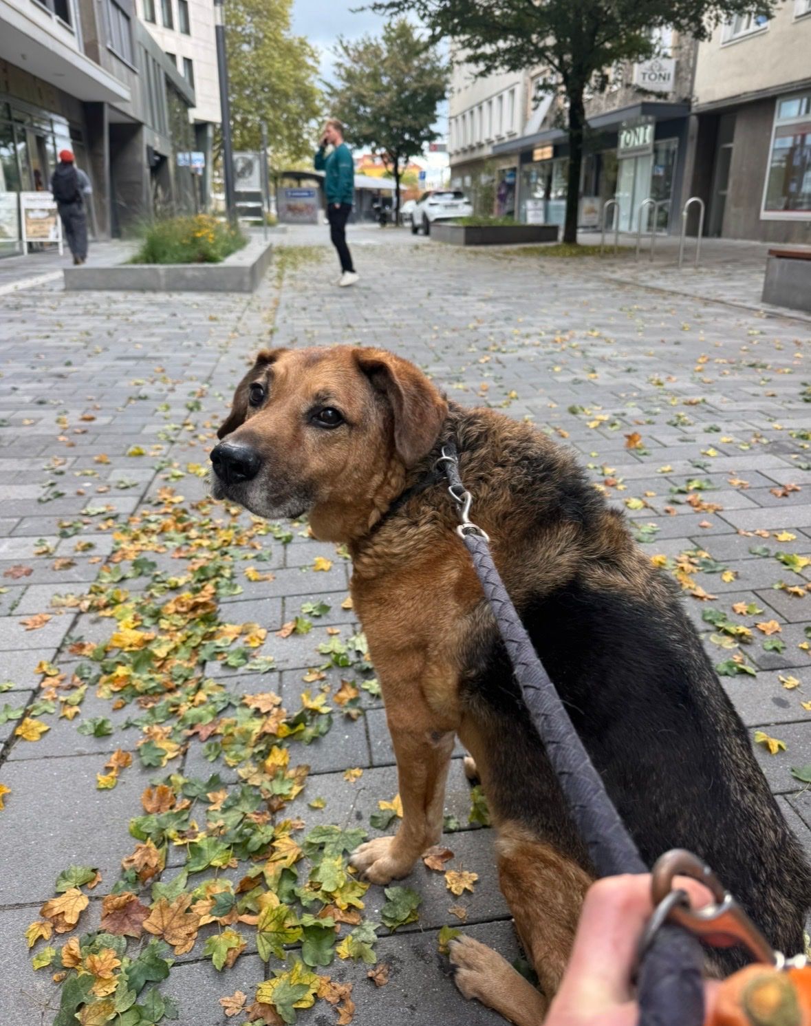 image-5