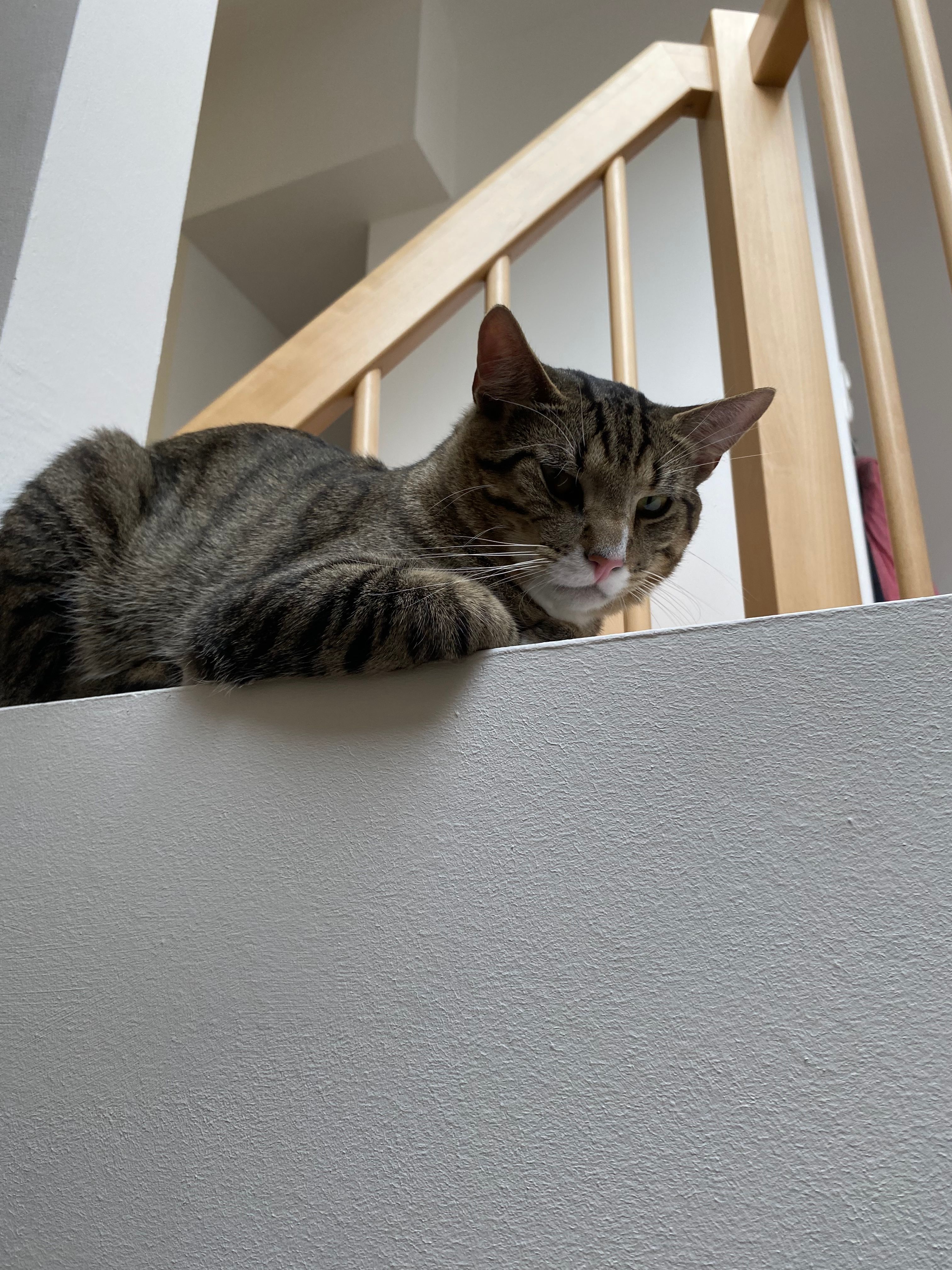 image-8