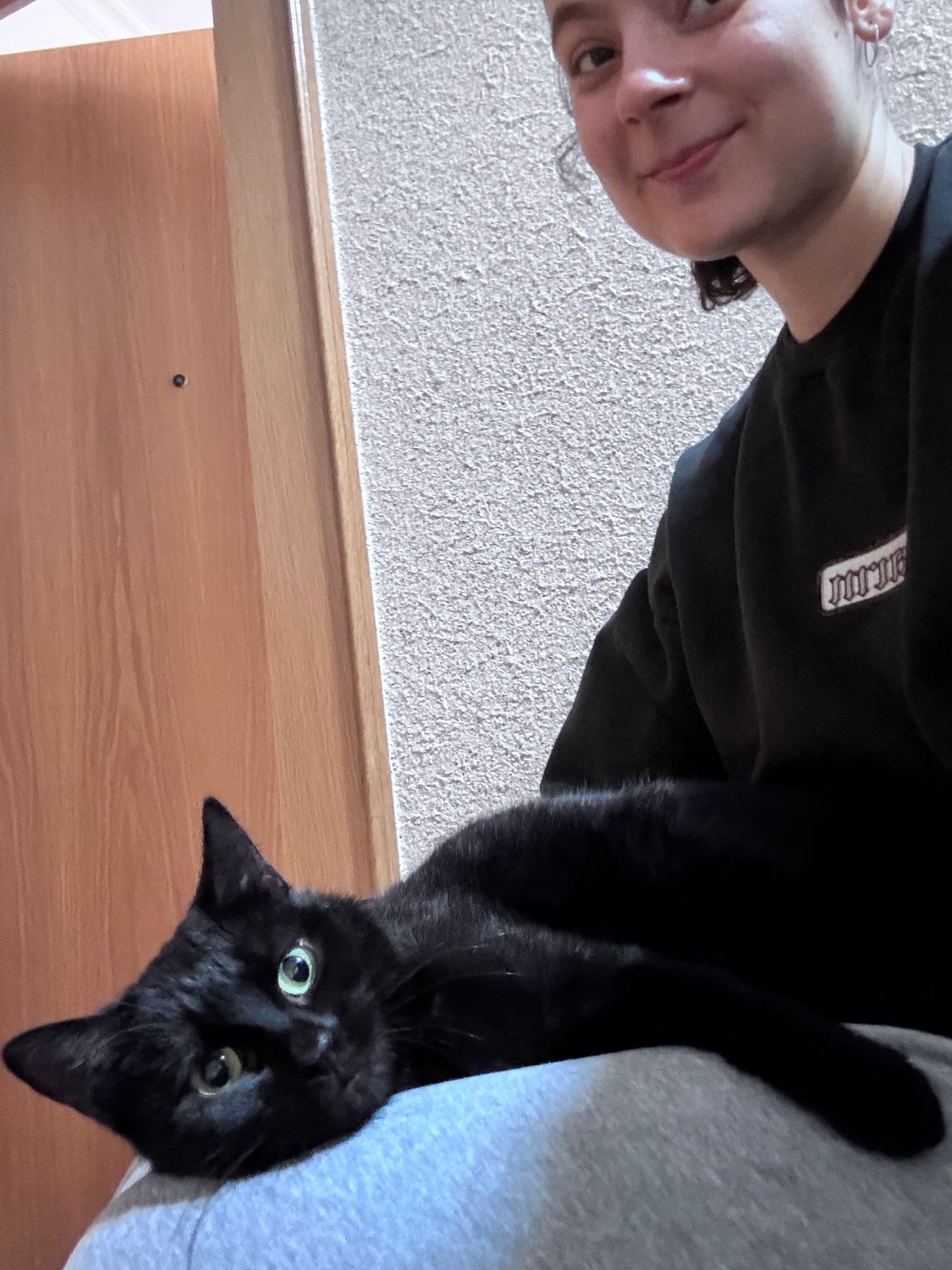 image-8