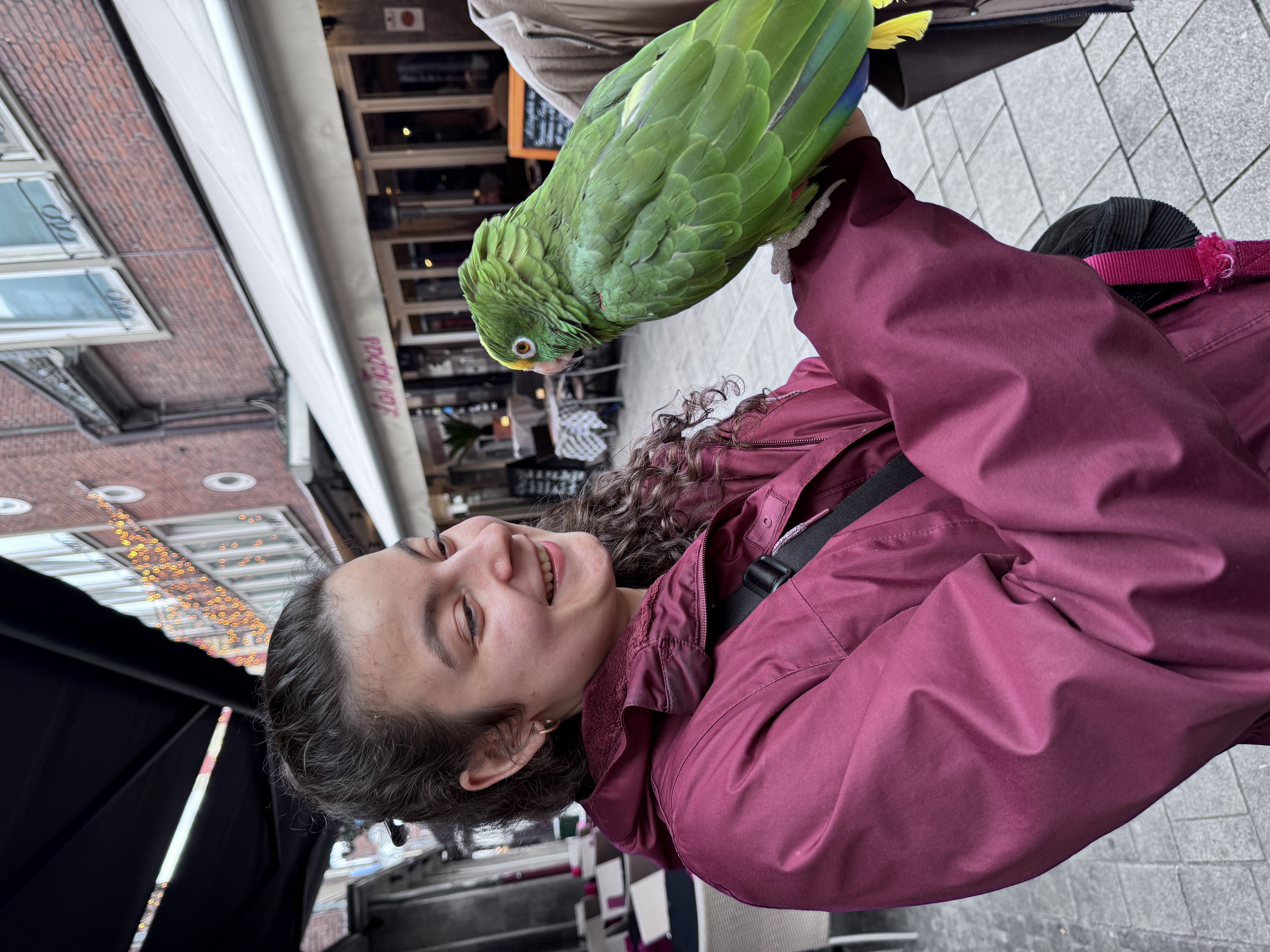 image-7