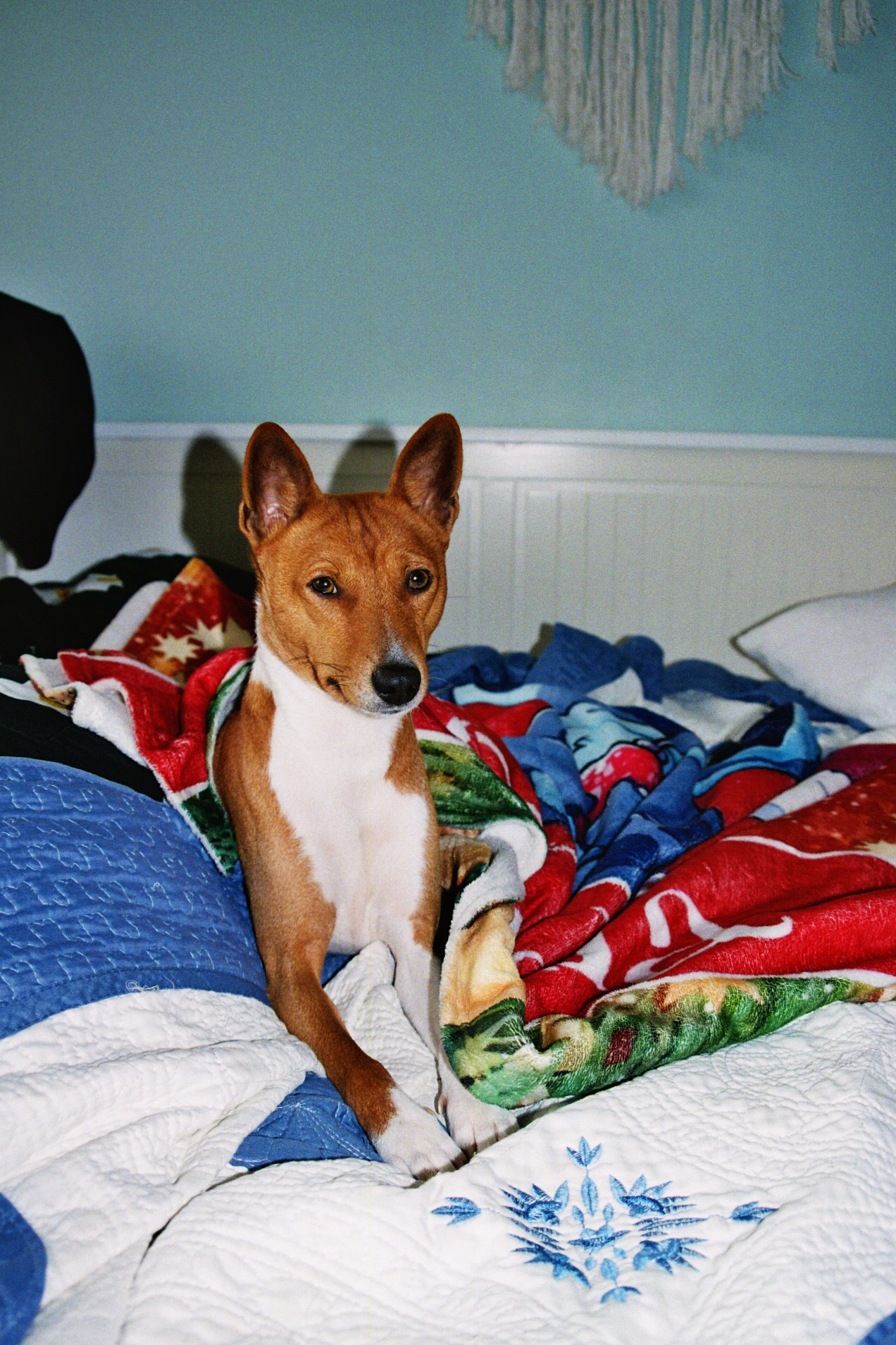 image-3