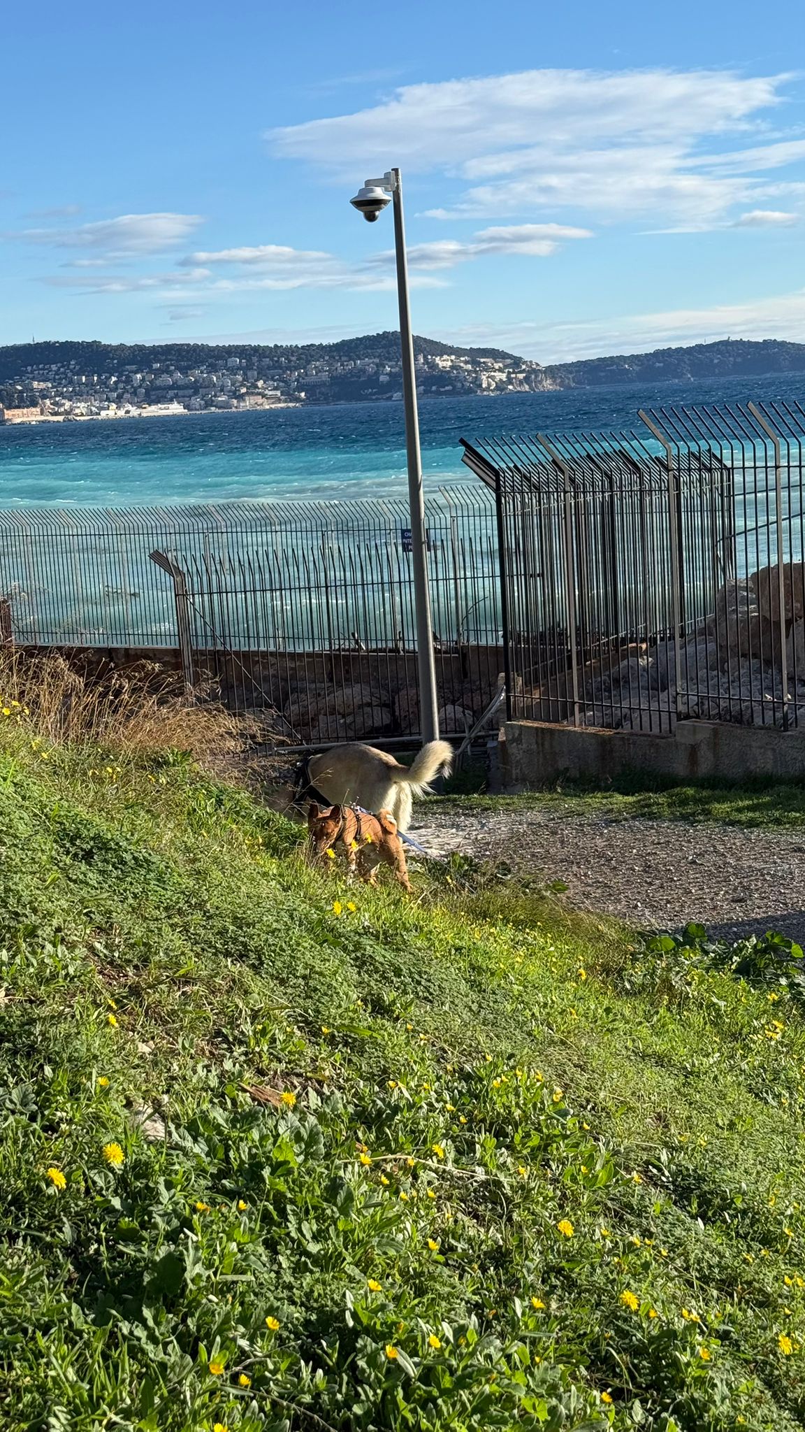 image-8