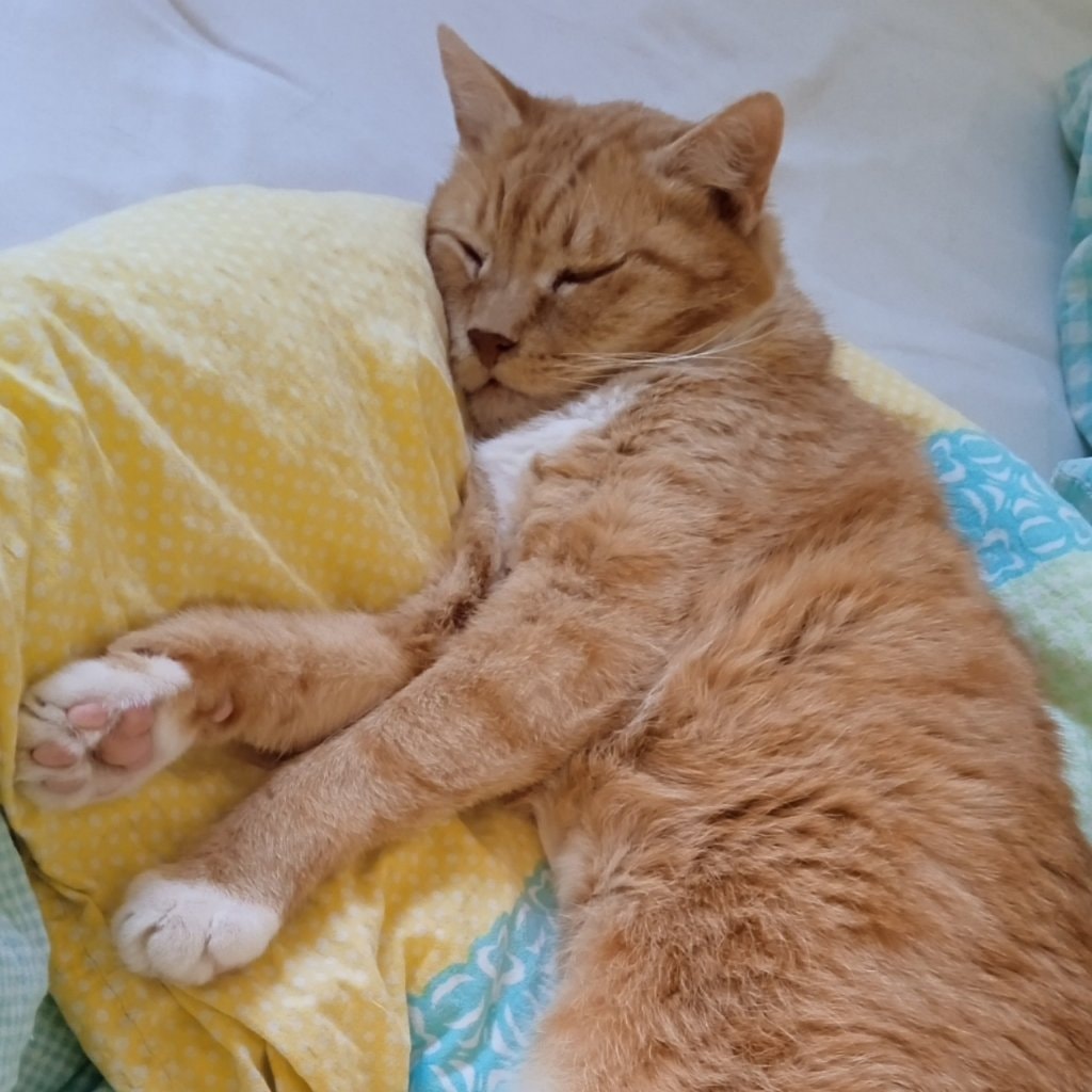 Leo
