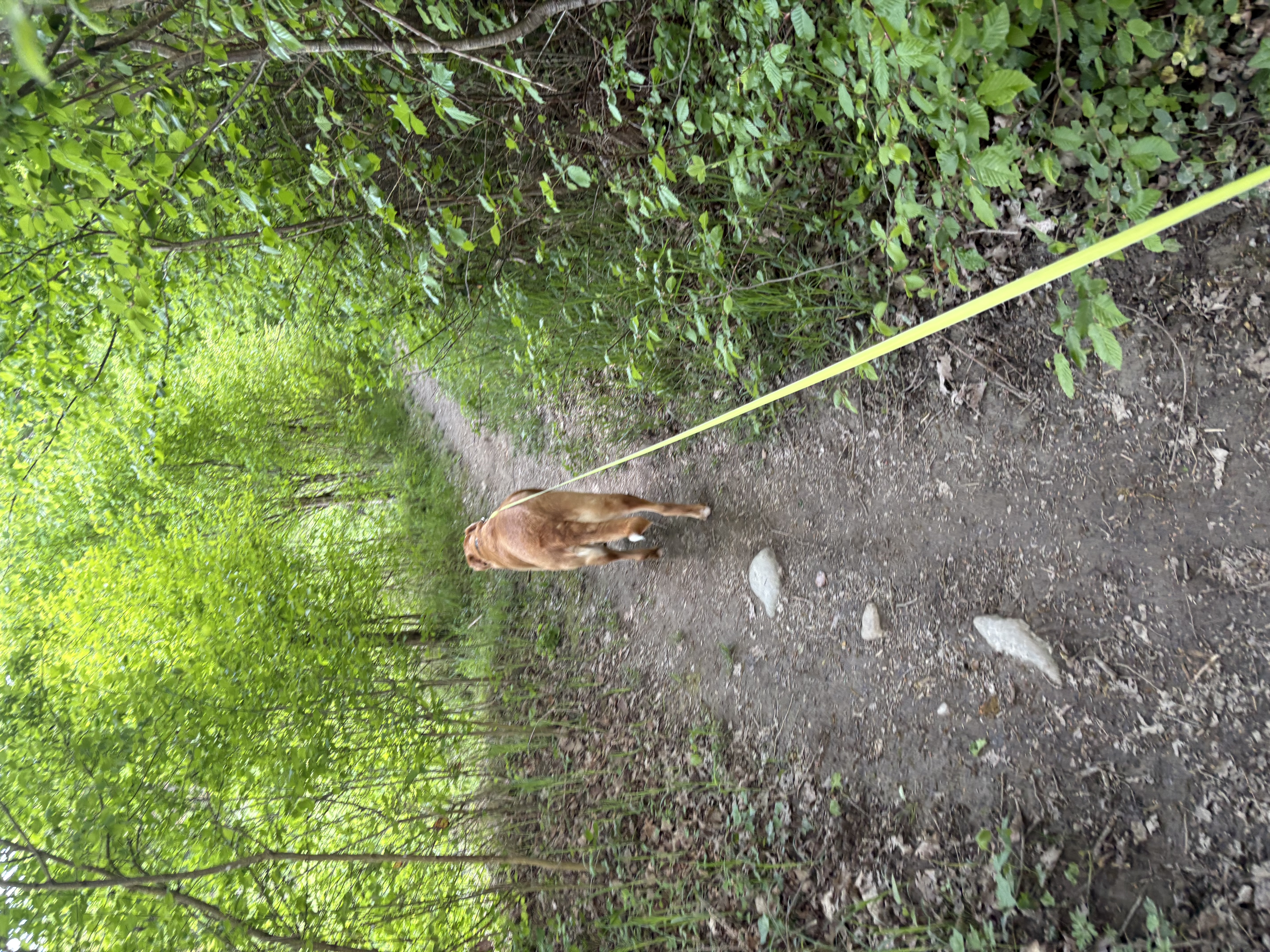 image-20