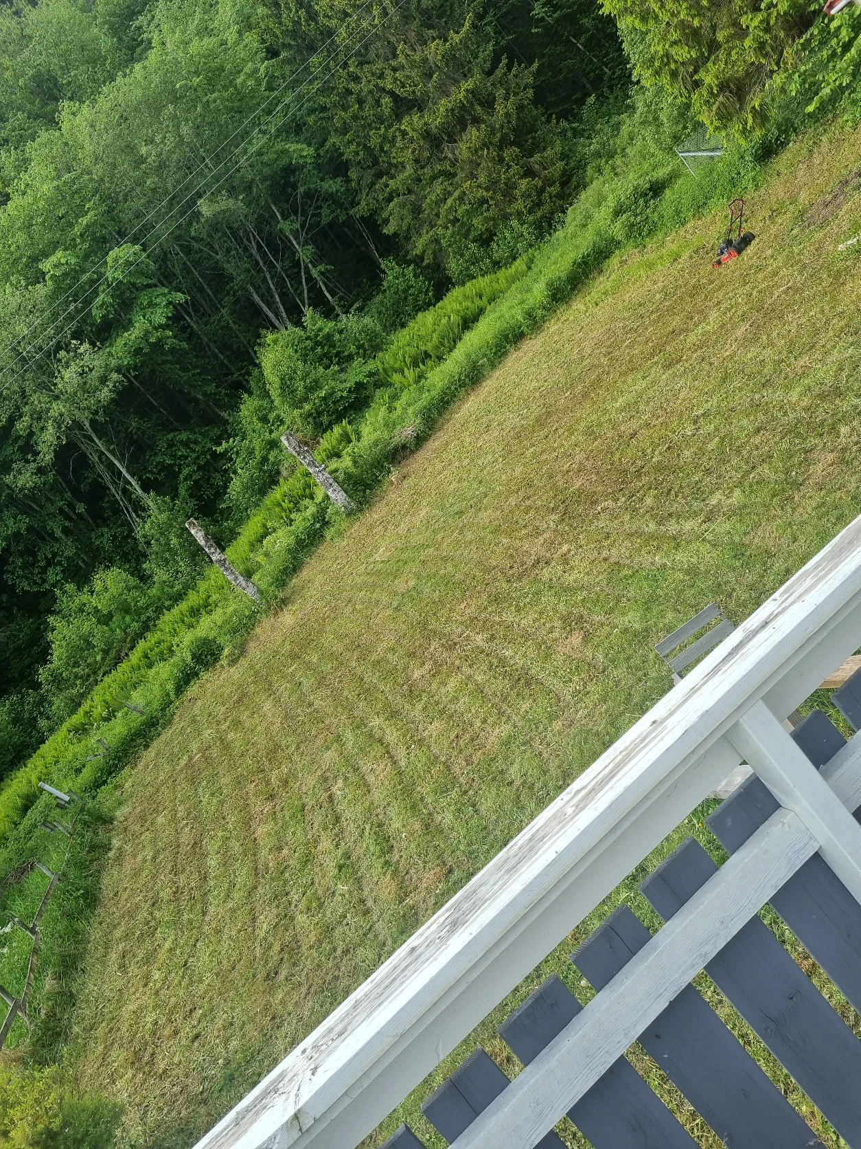image-15