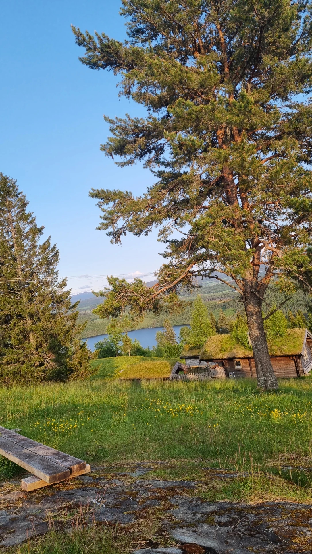 image-20
