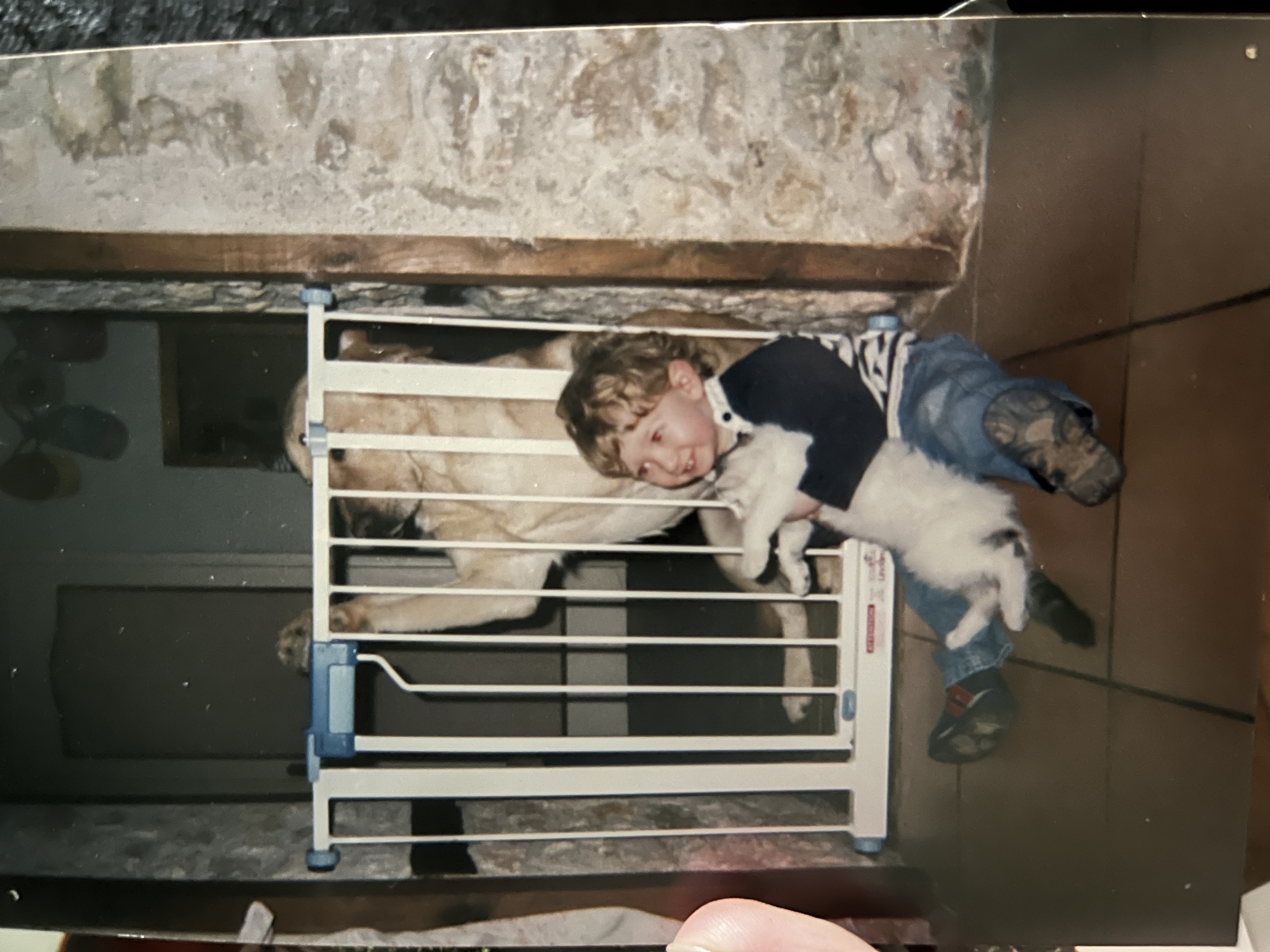 image-8