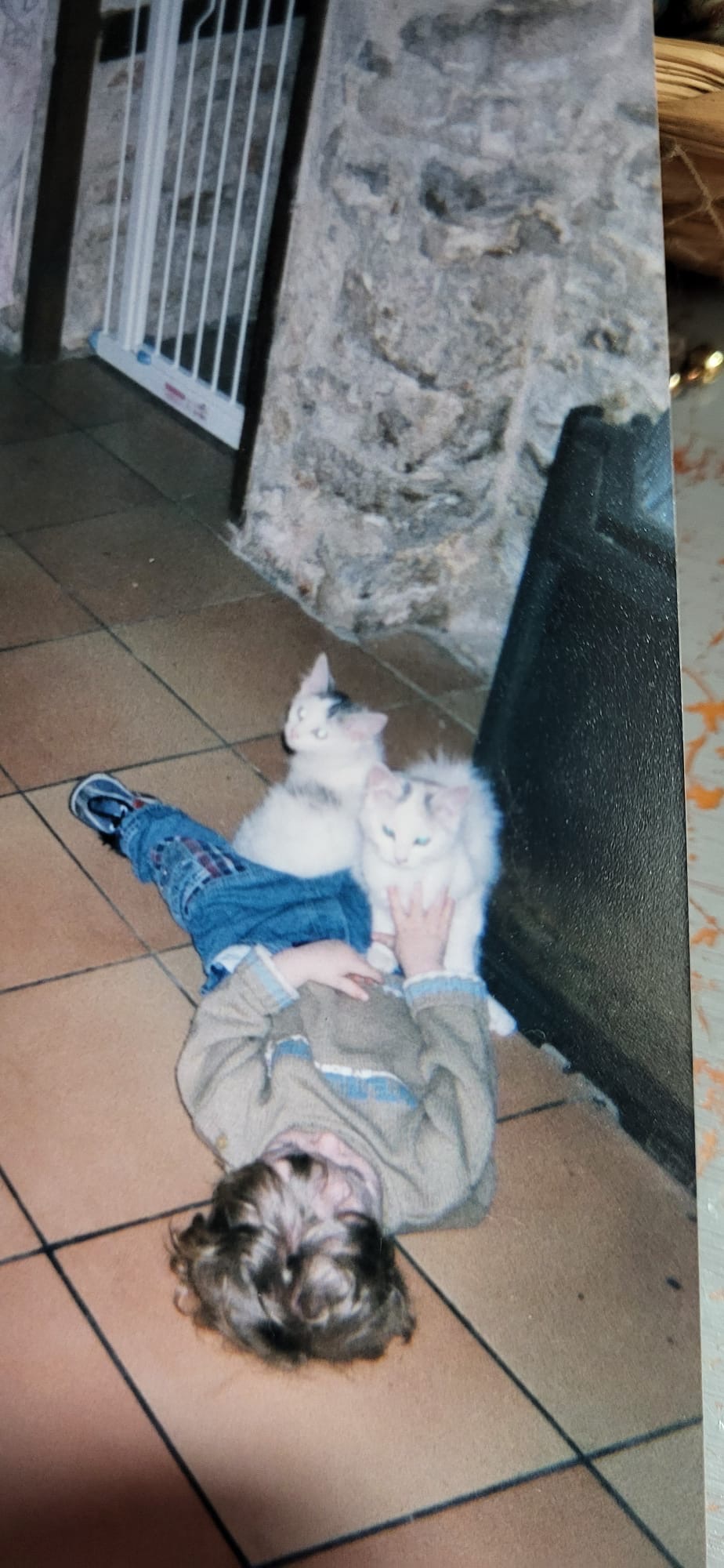 image-9