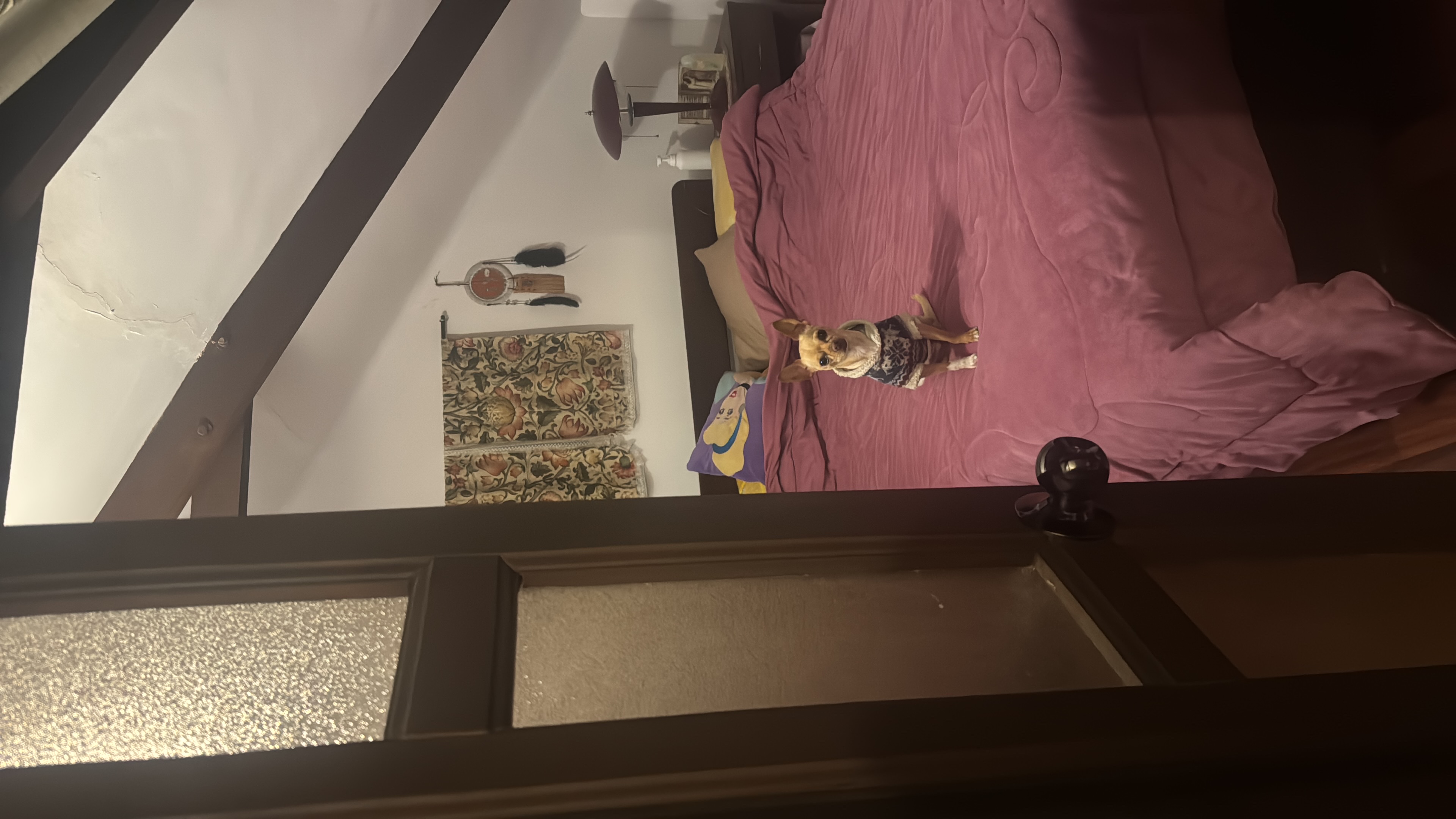 image-9