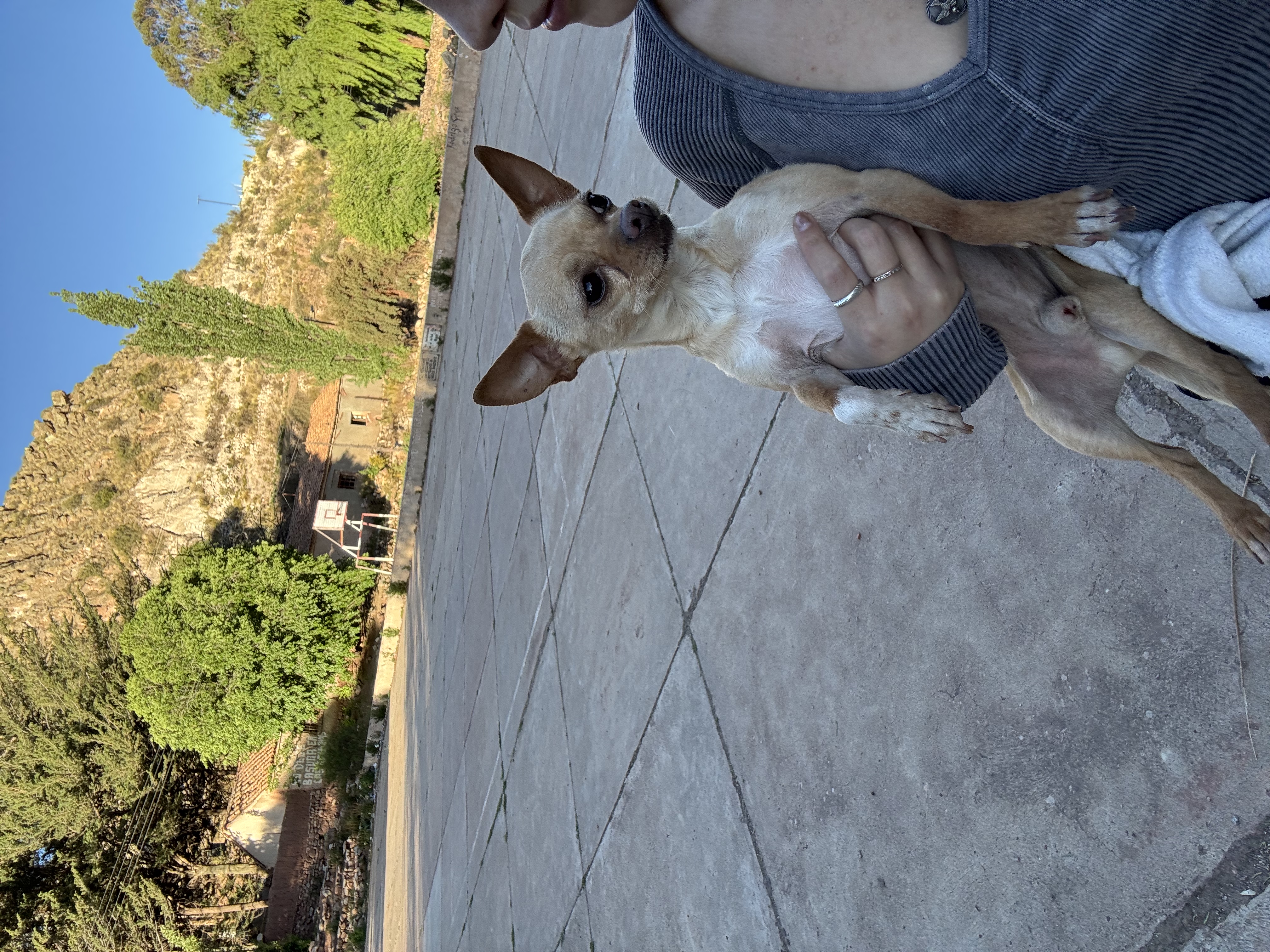 image-7
