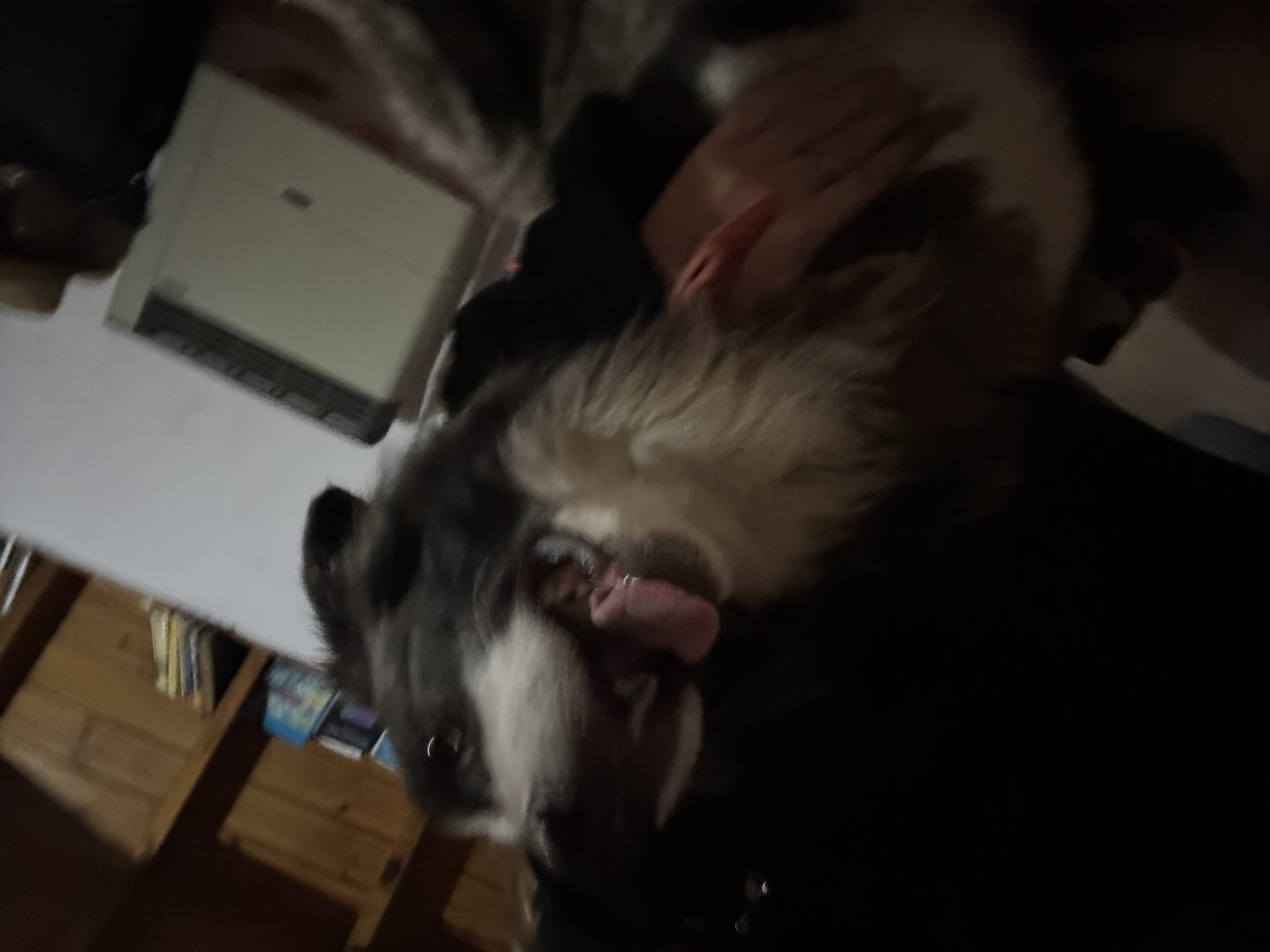 image-6