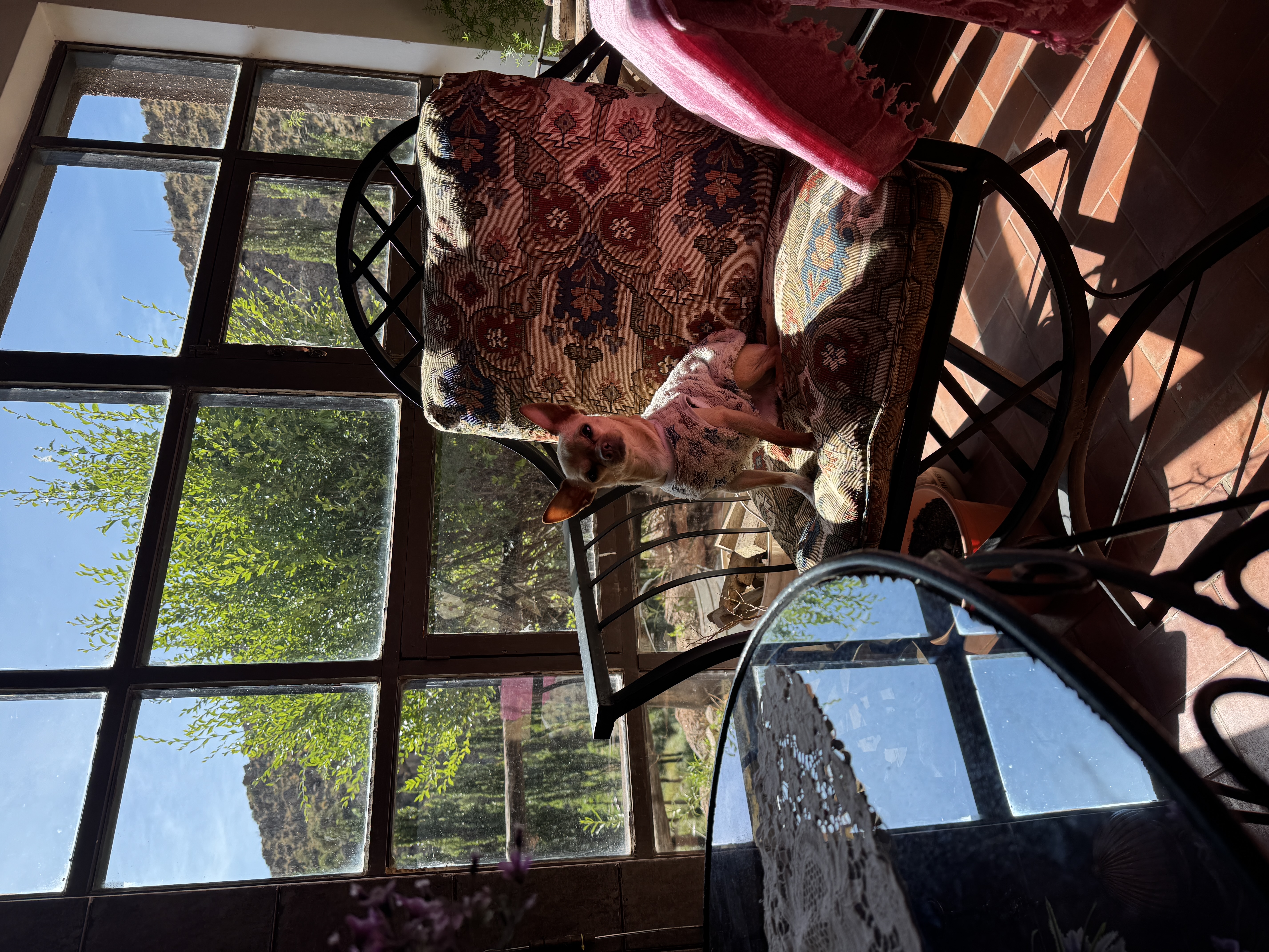 image-10