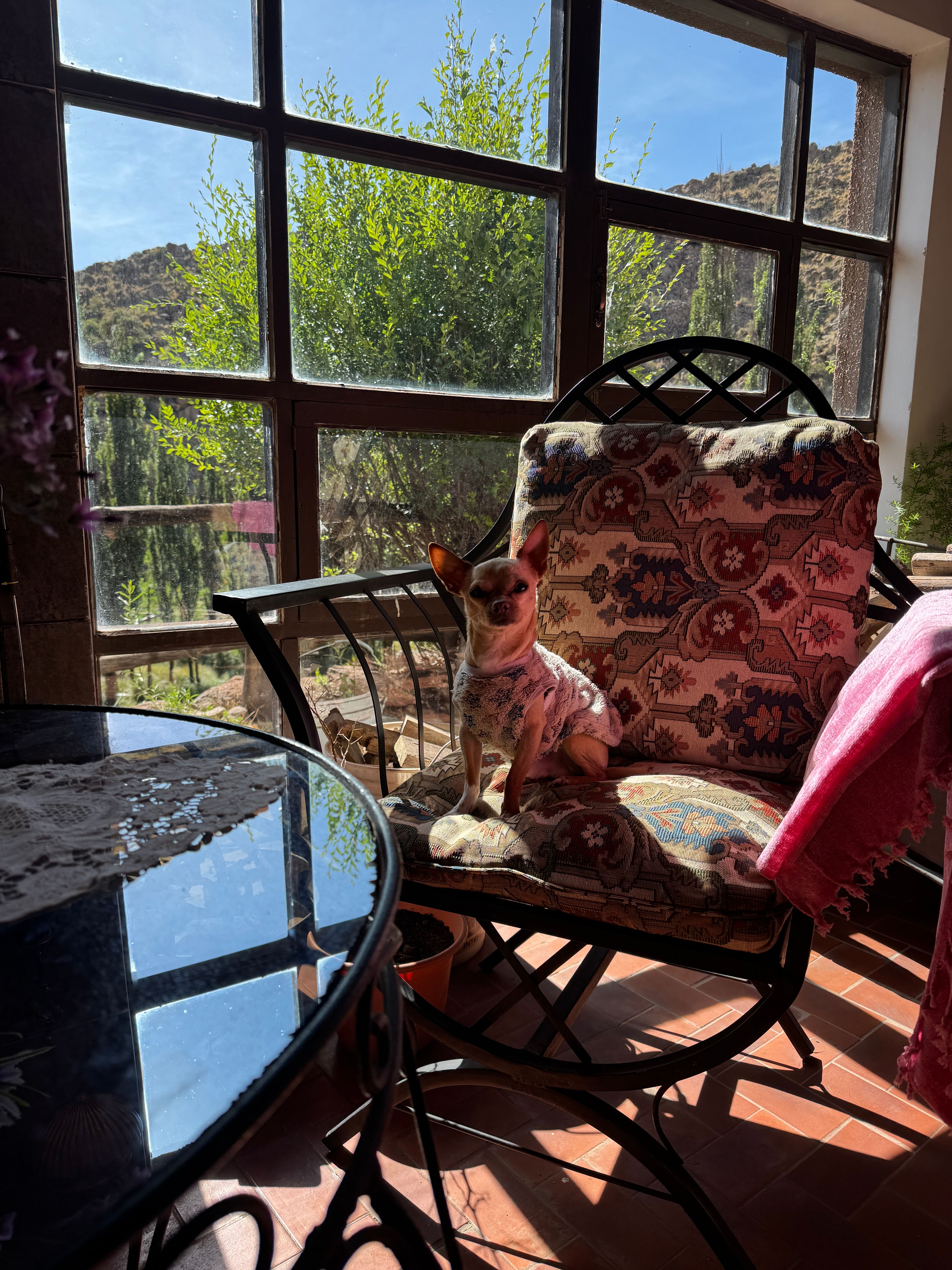 image-10