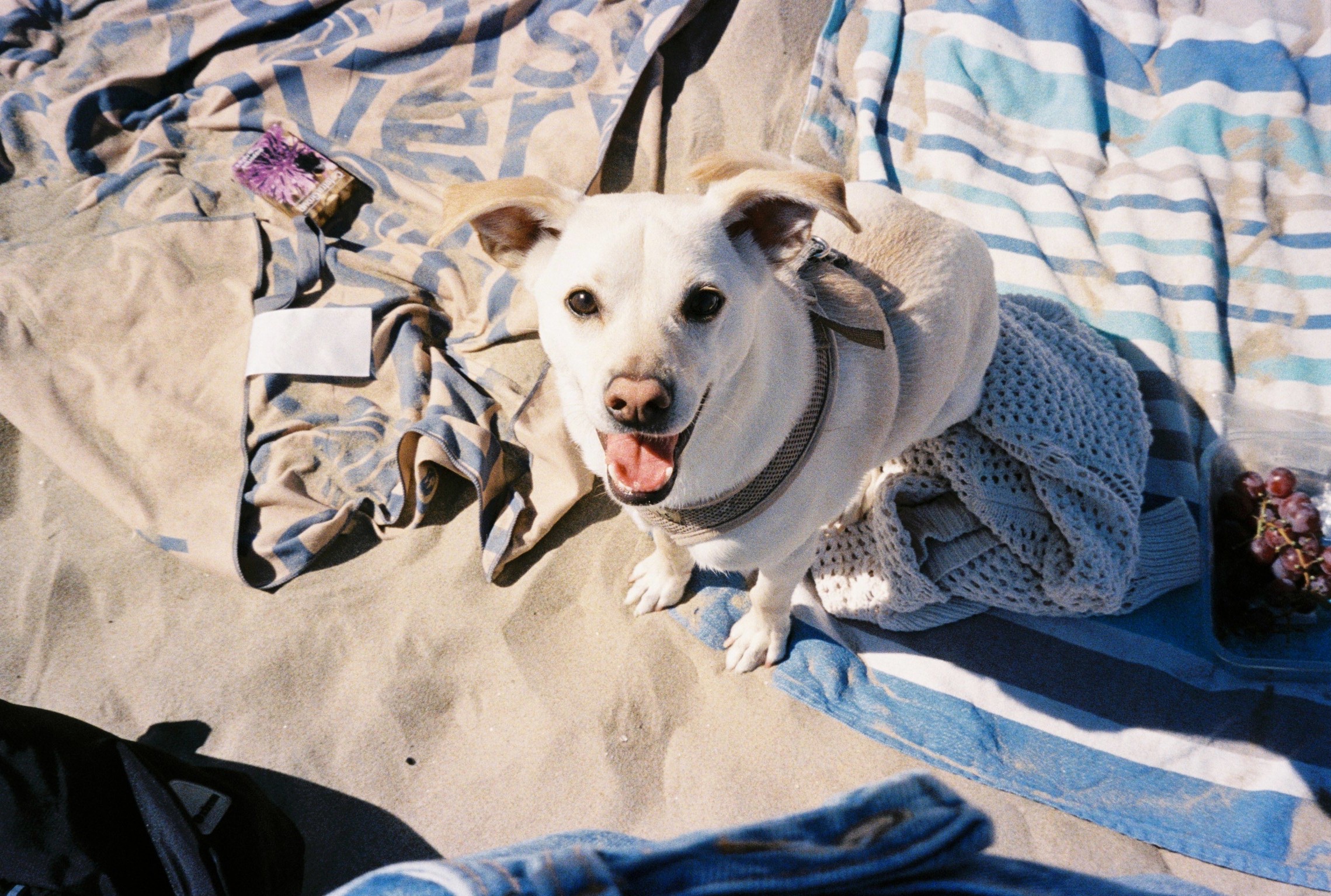 image-1