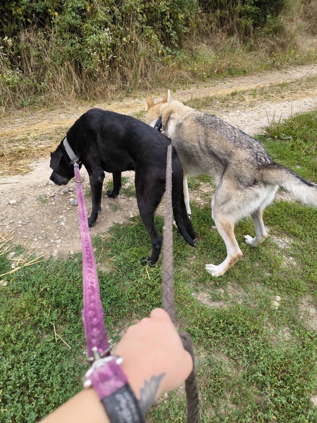 image-11