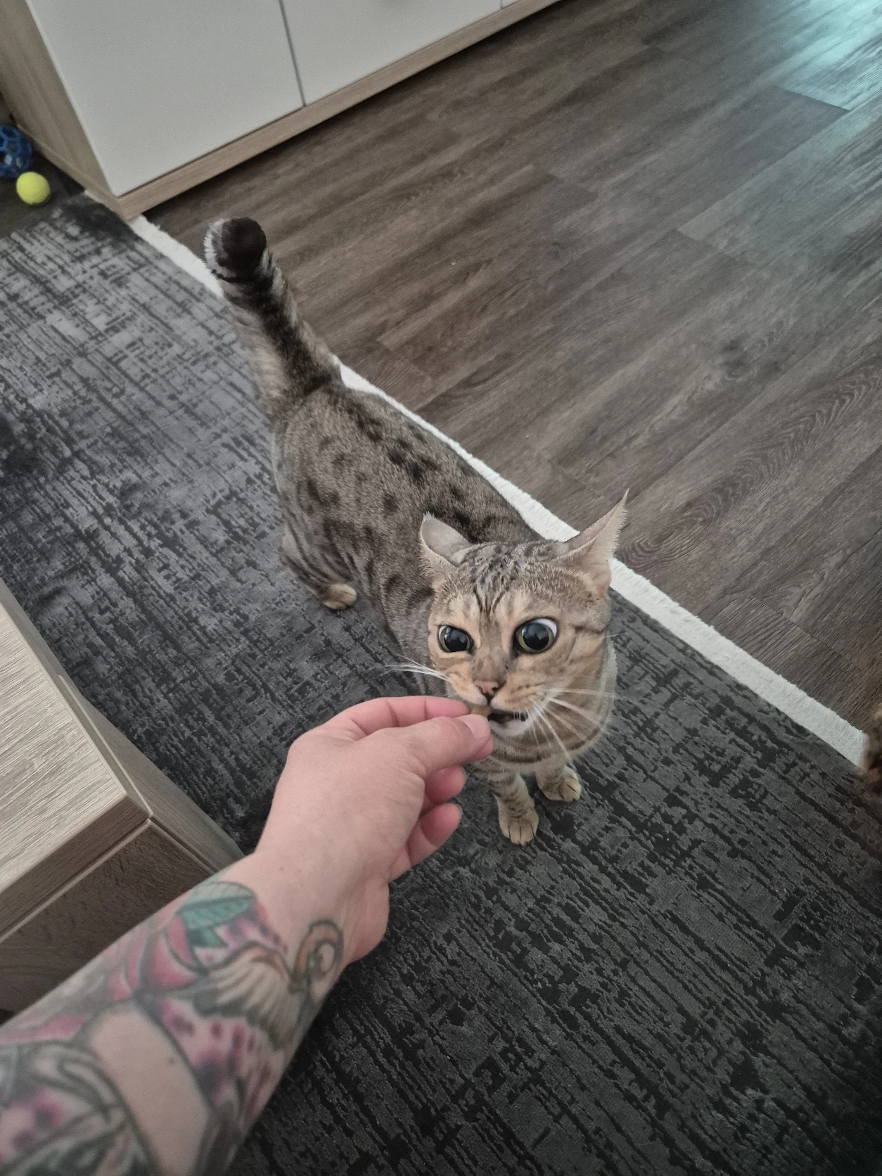 image-14