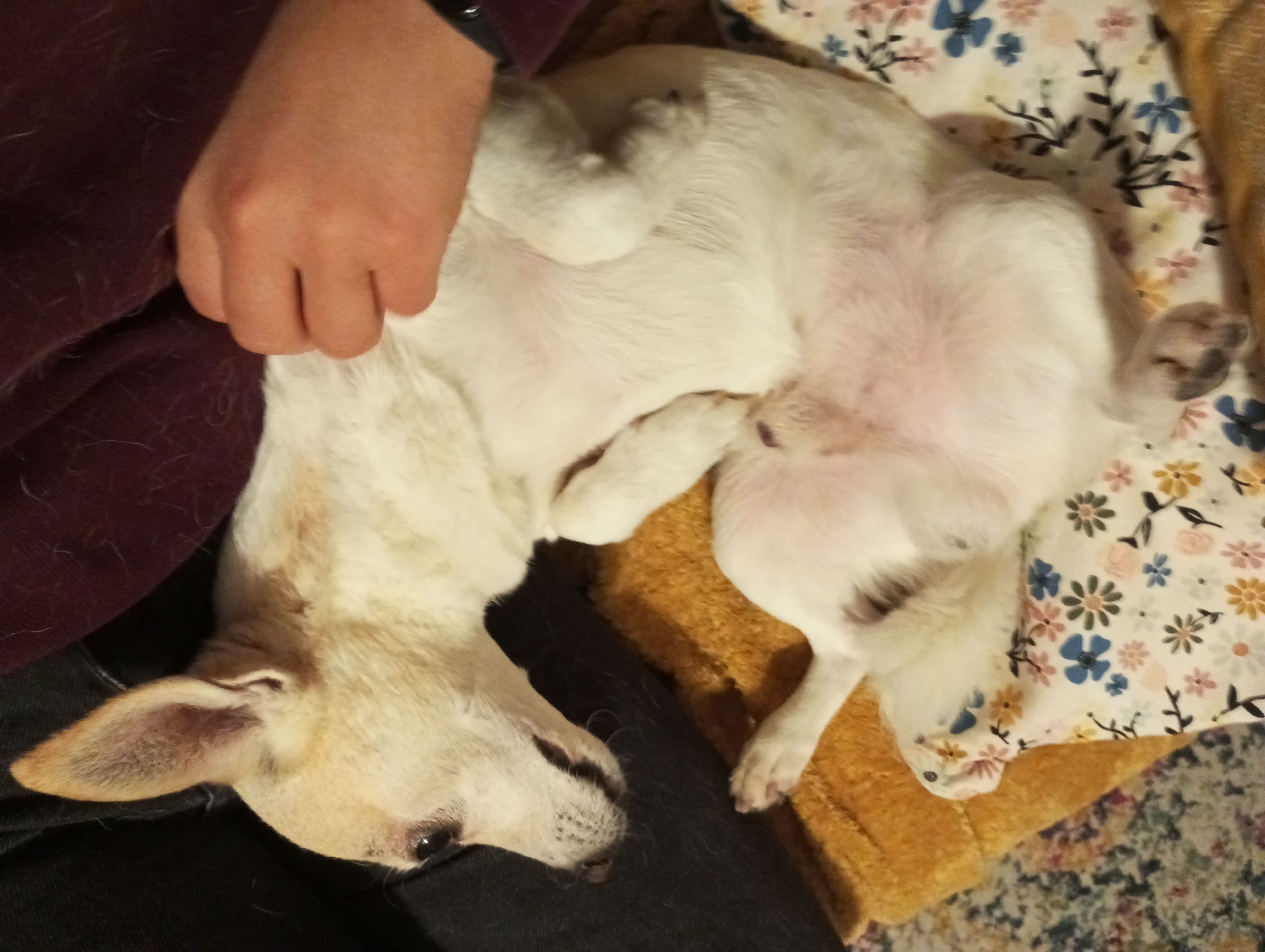 image-7
