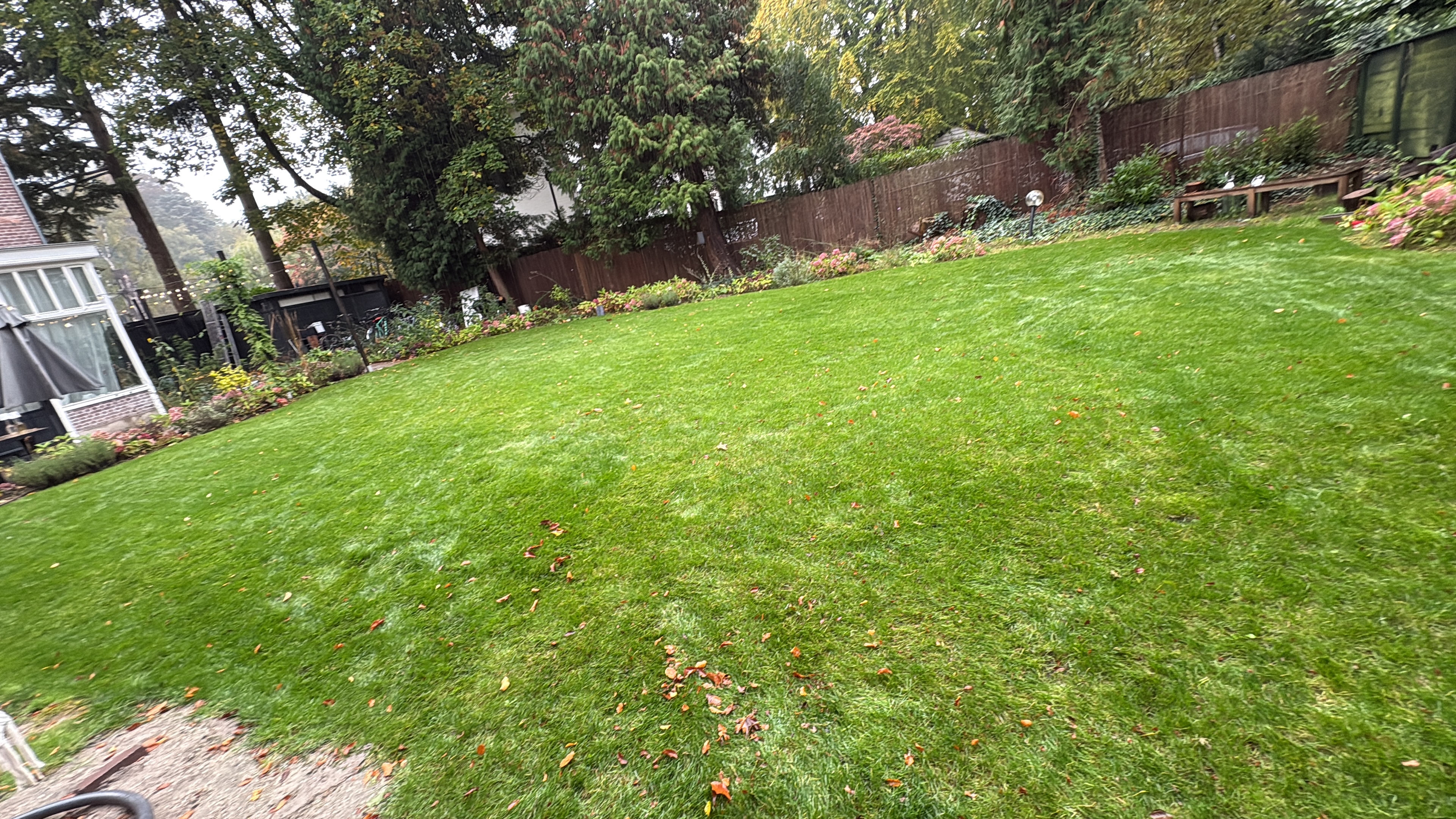 image-20