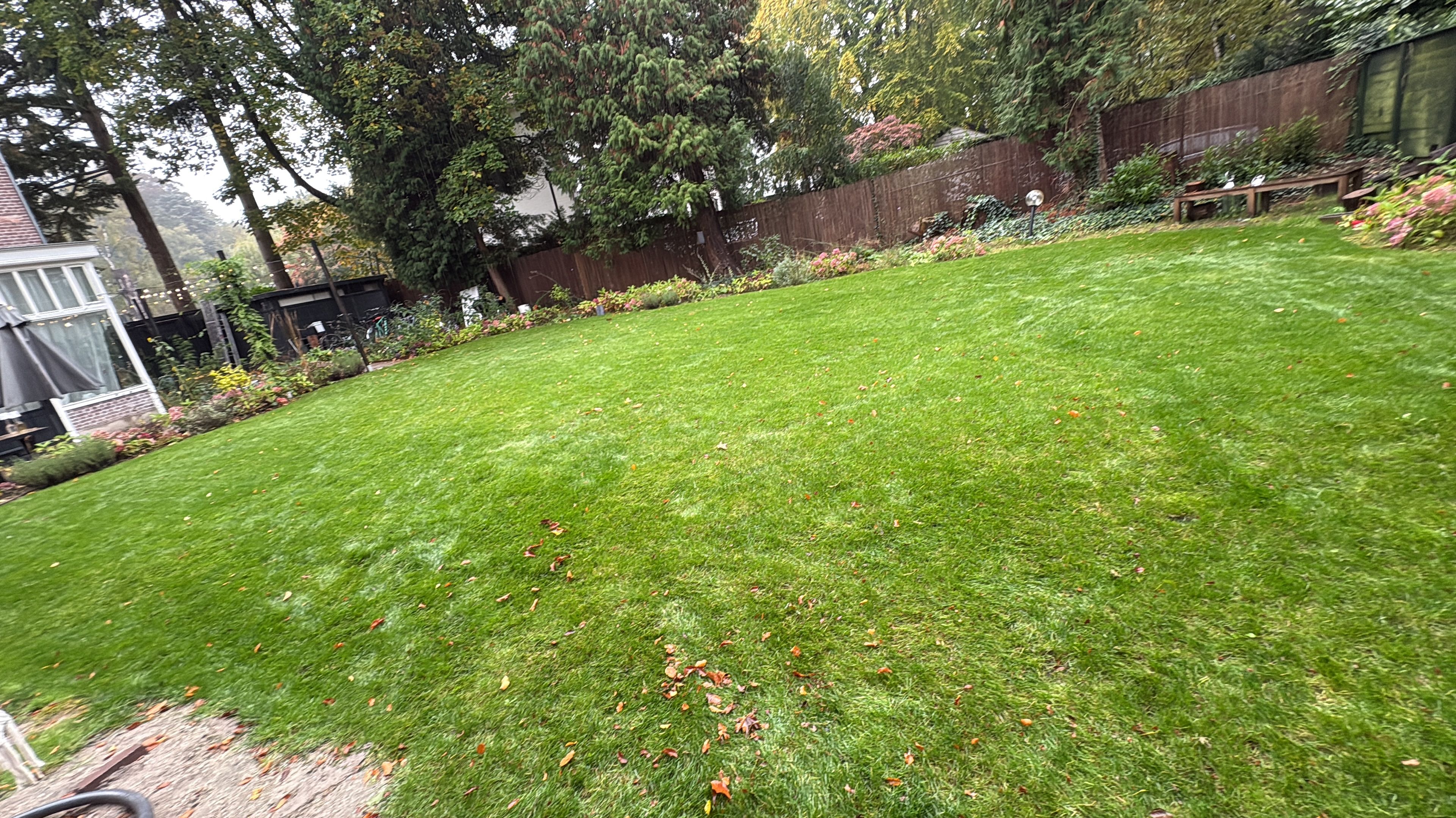 image-20