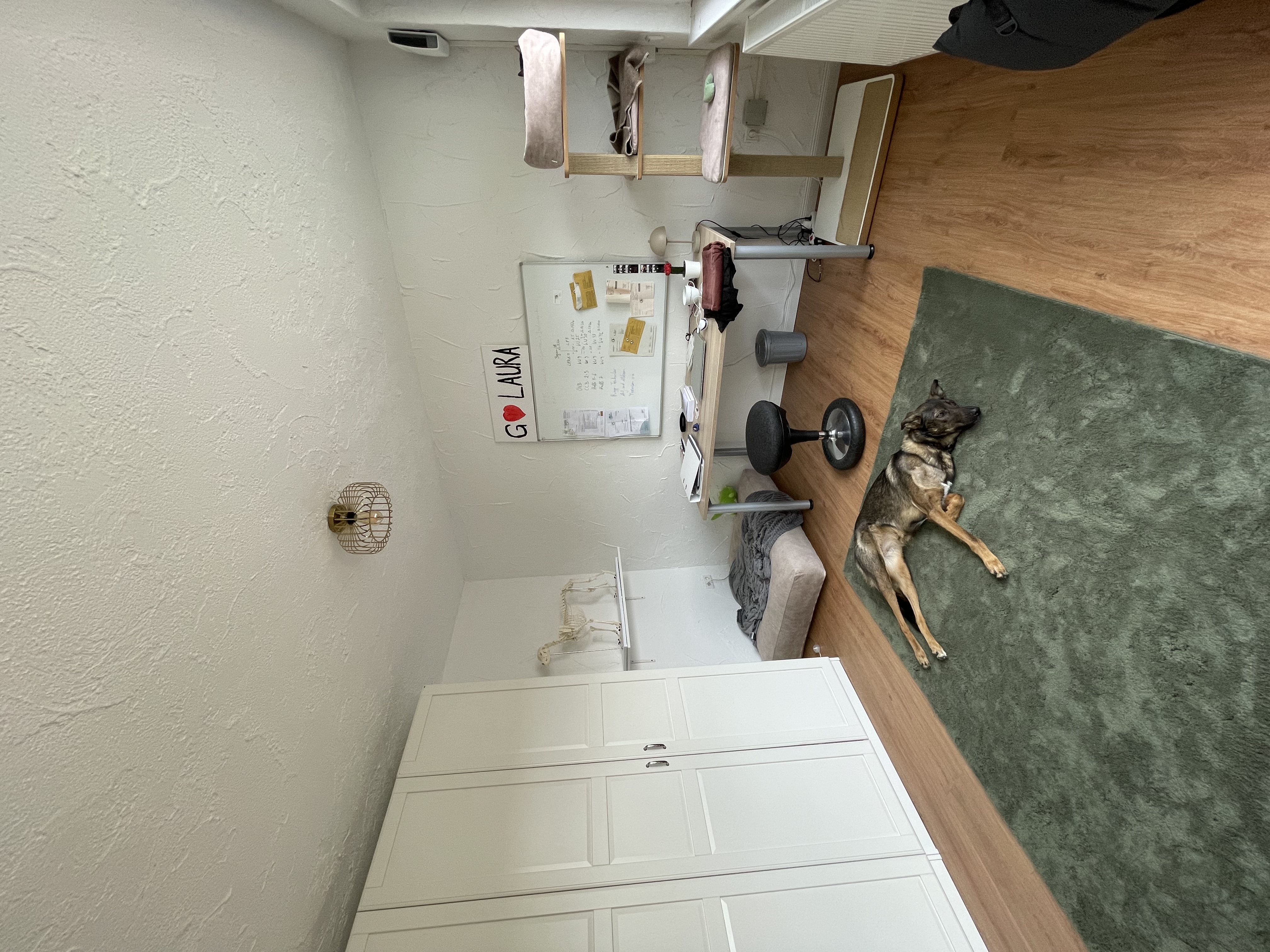 image-18