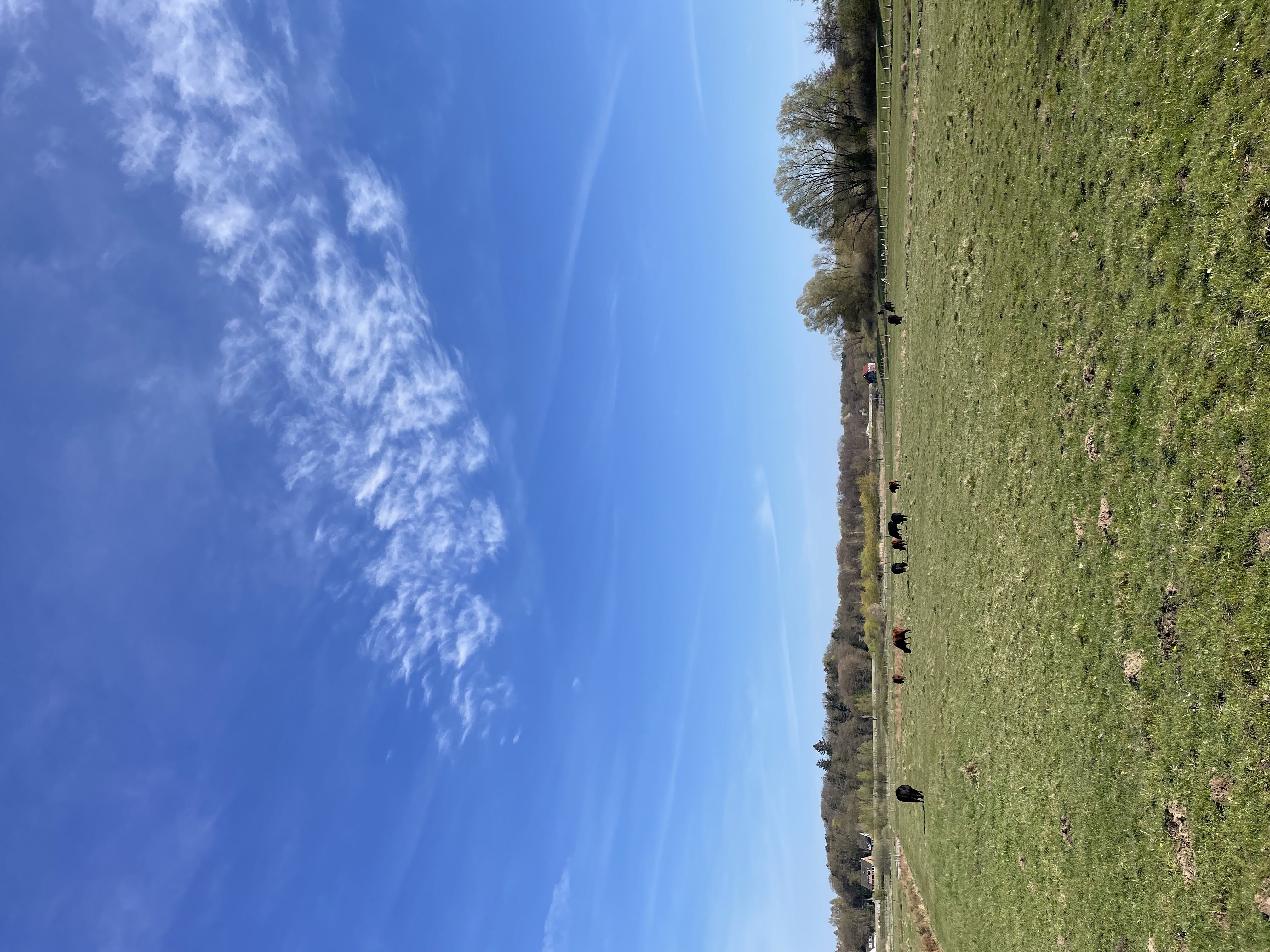 image-20