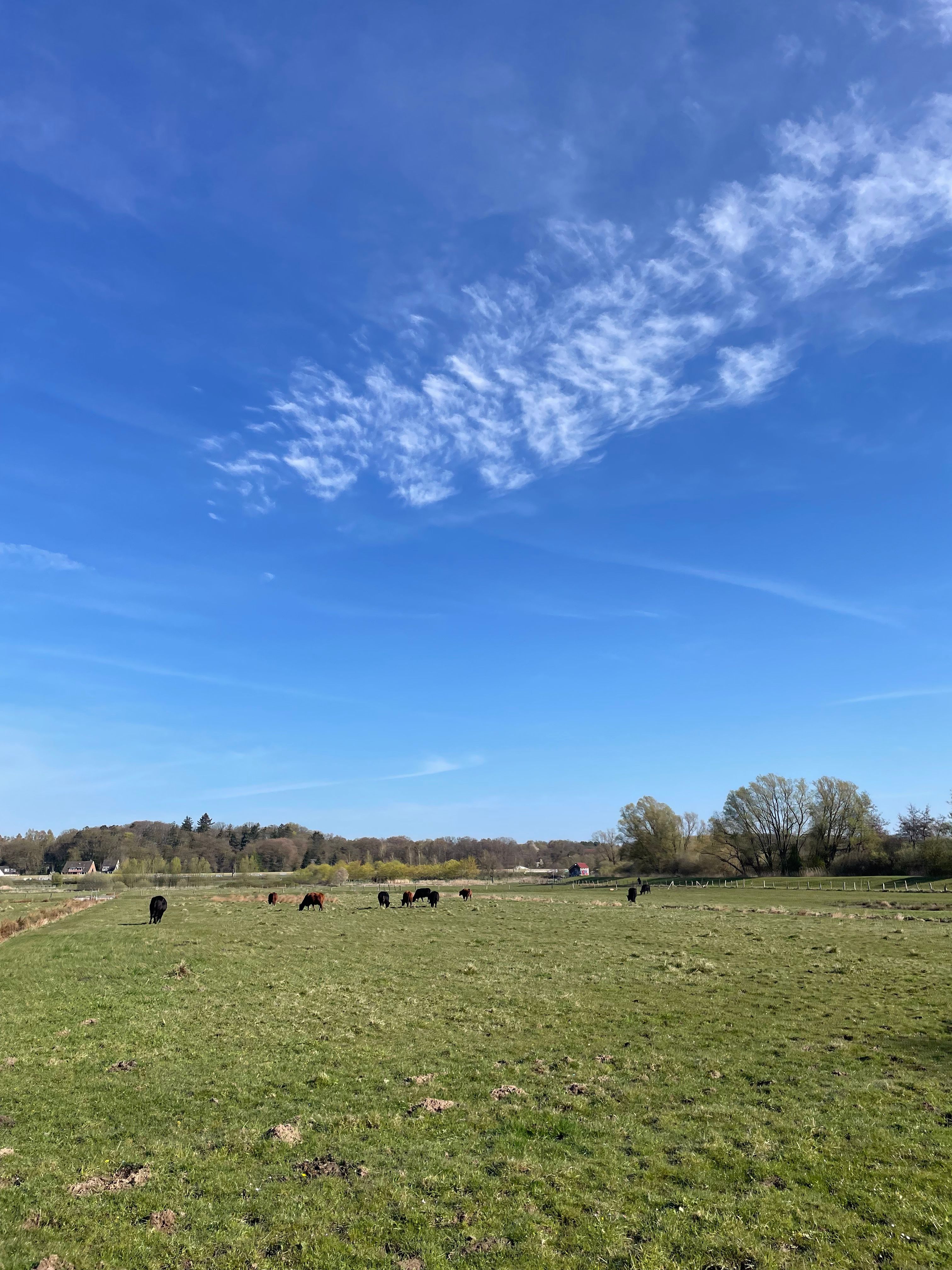 image-20