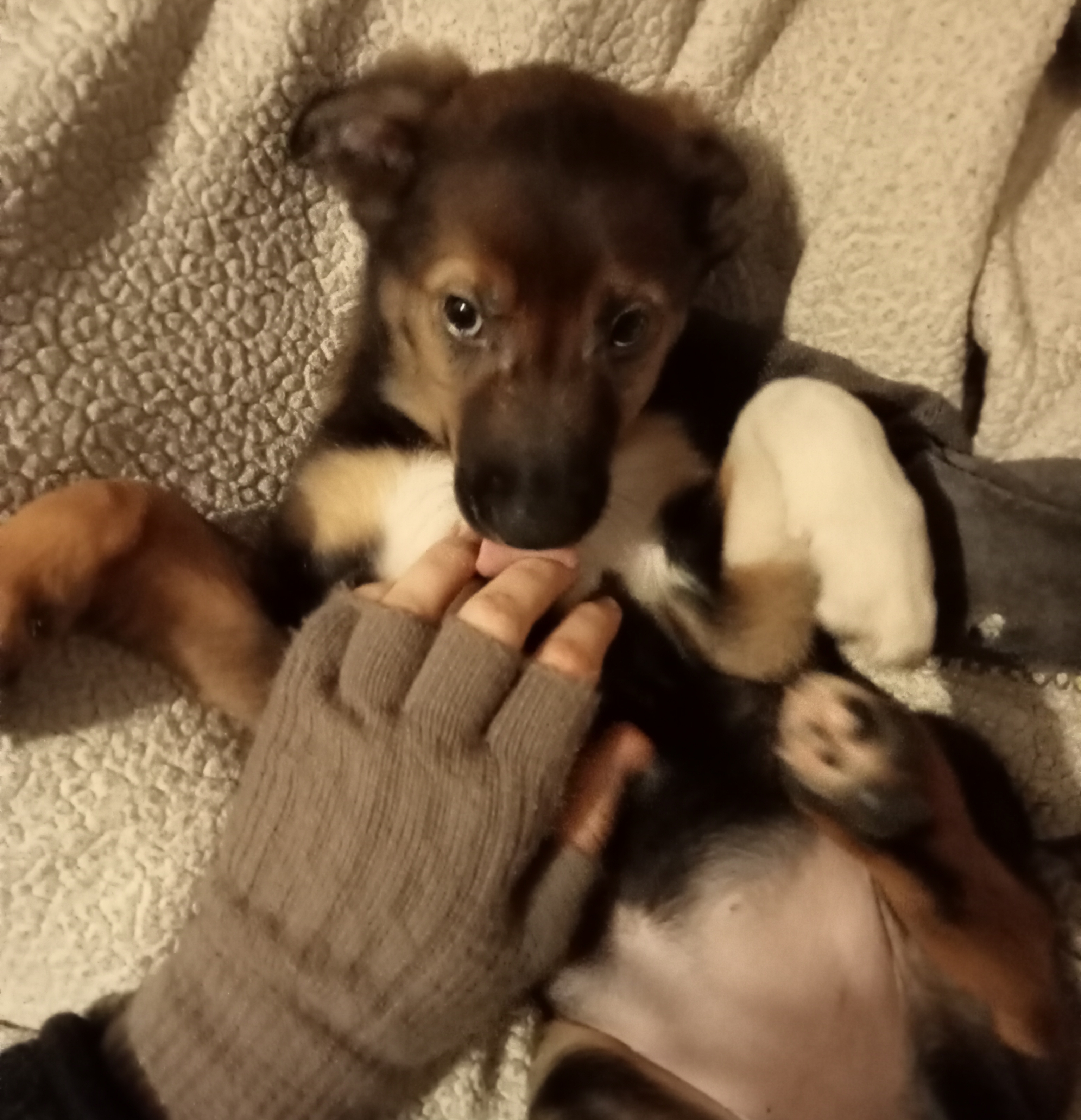 image-7