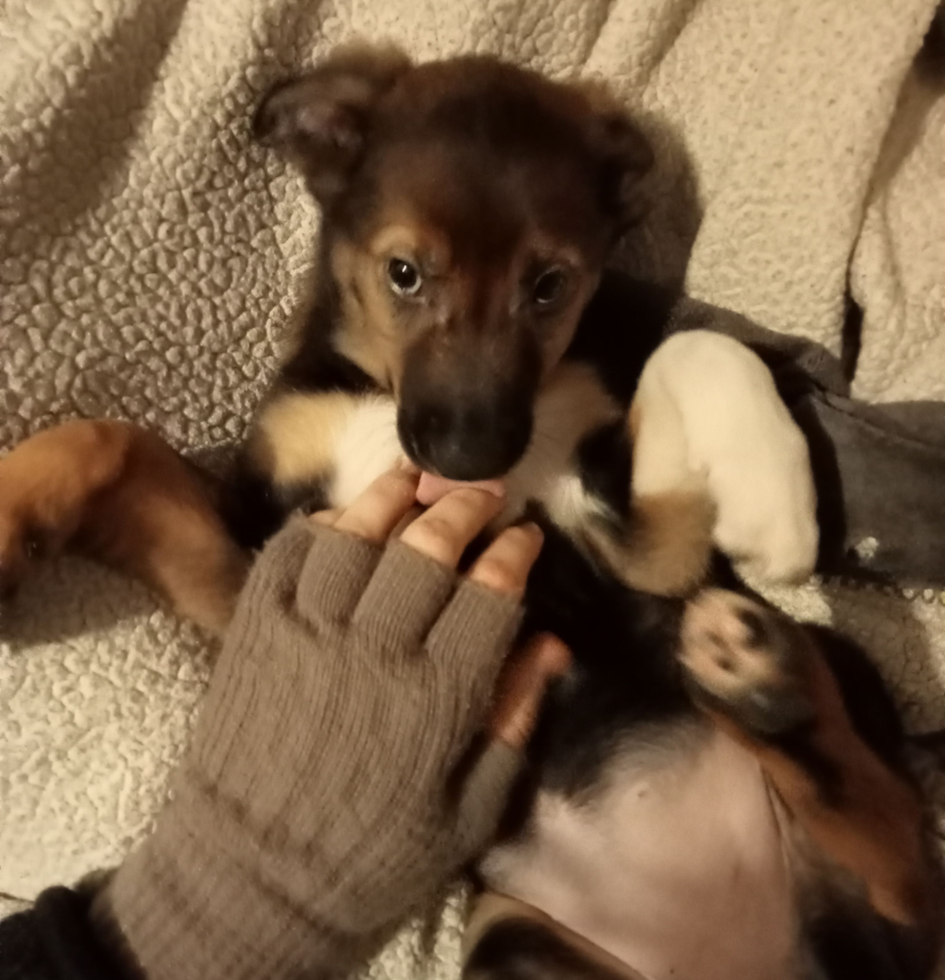 image-7