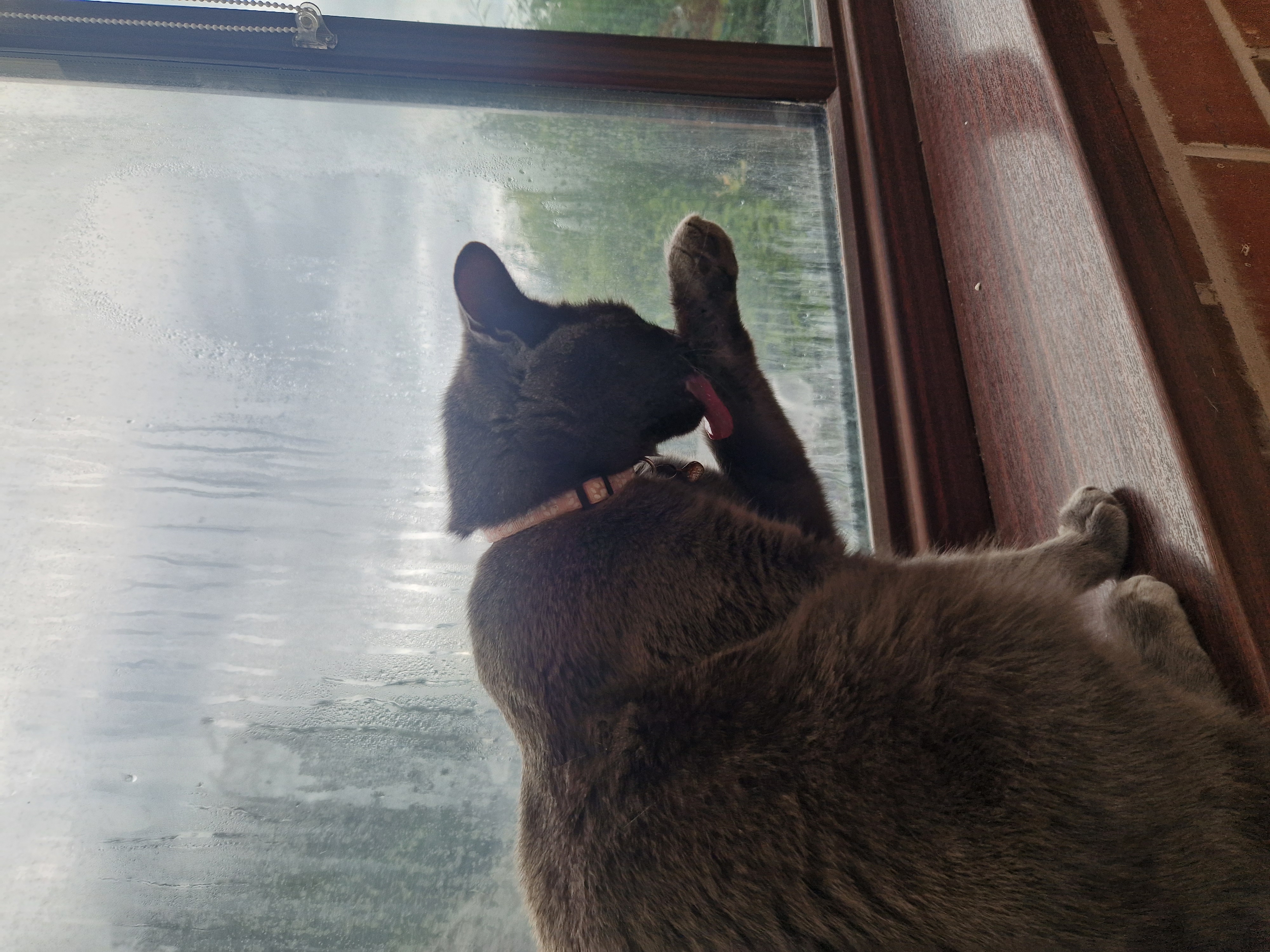 image-7