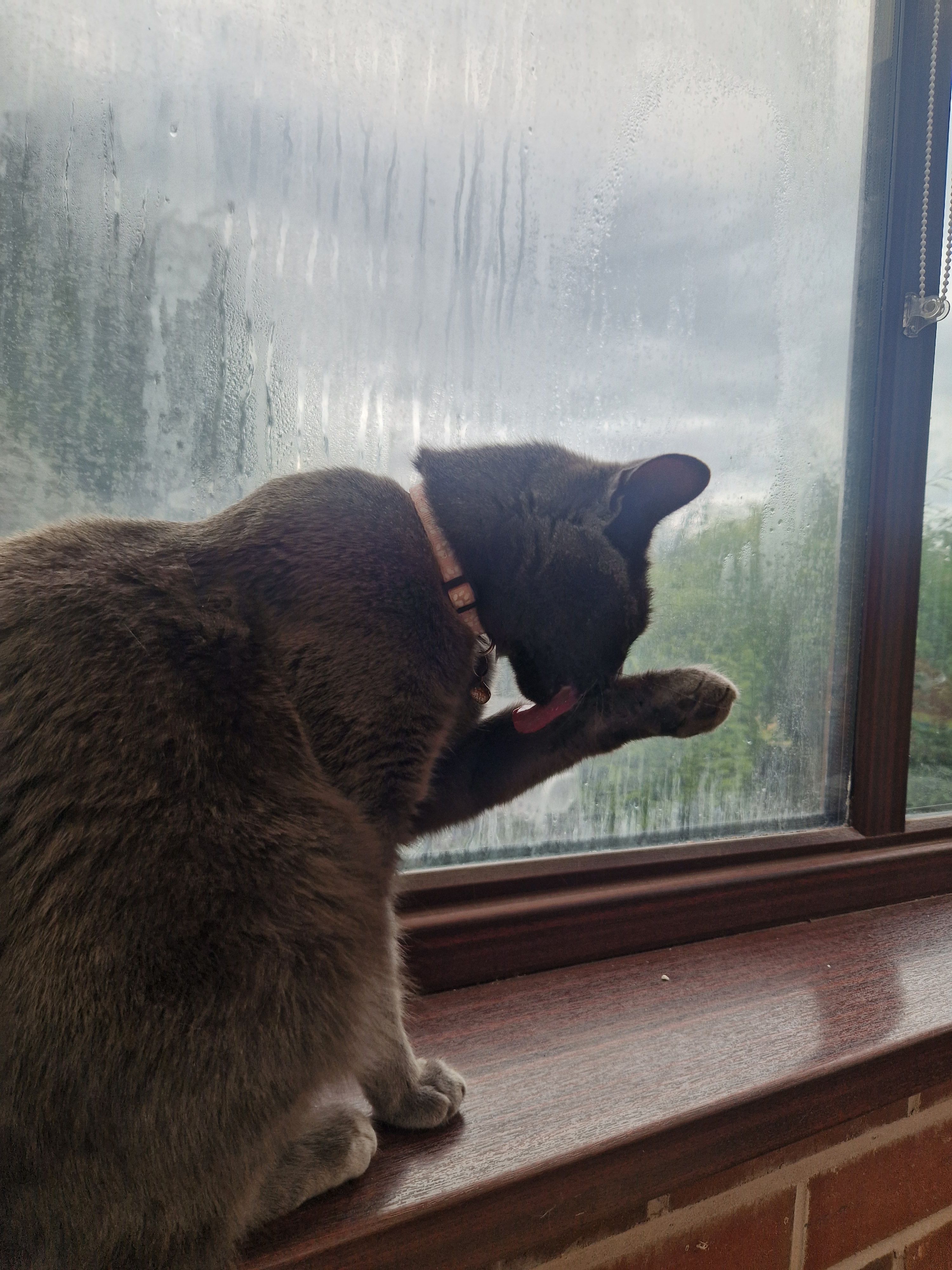 image-7