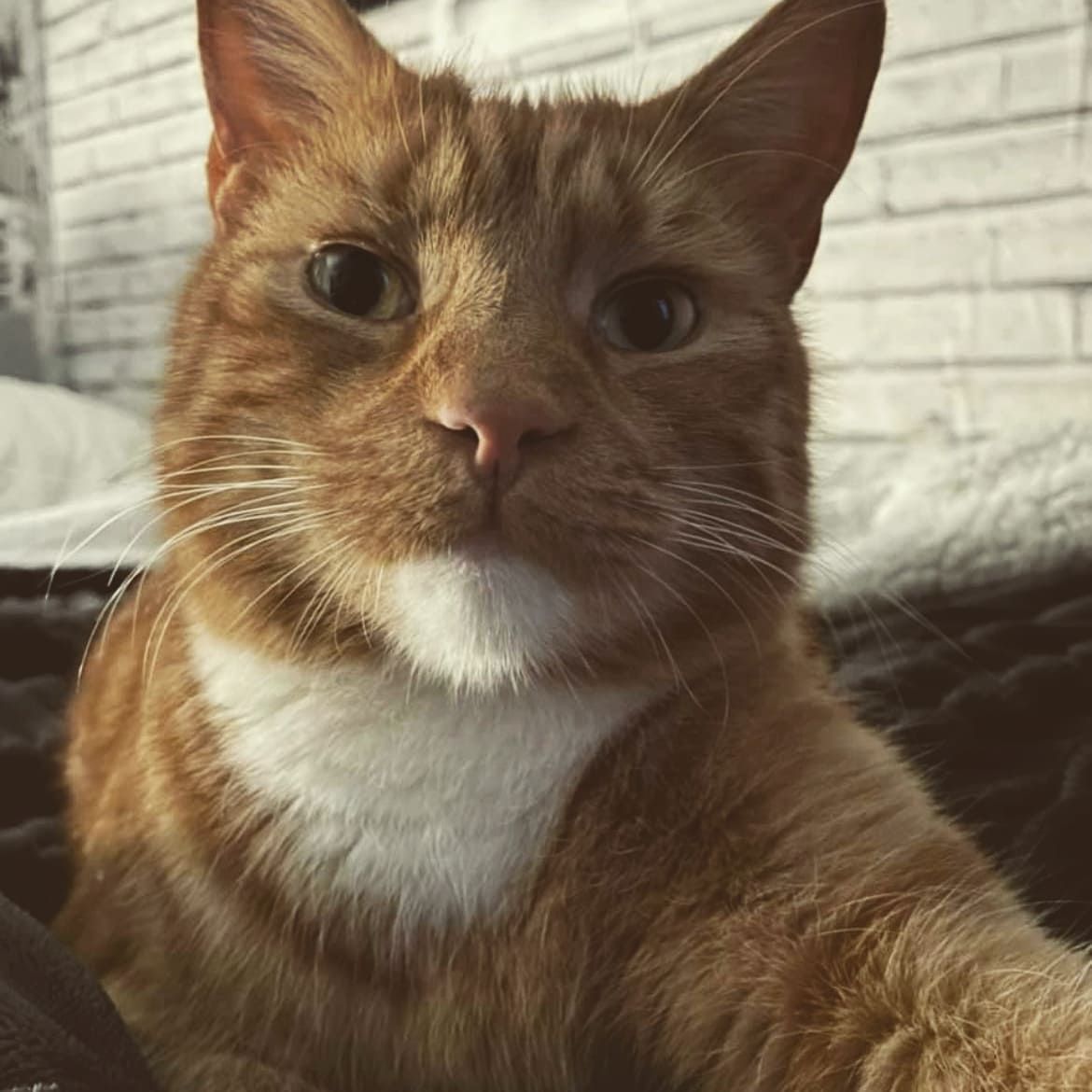 Sonny
