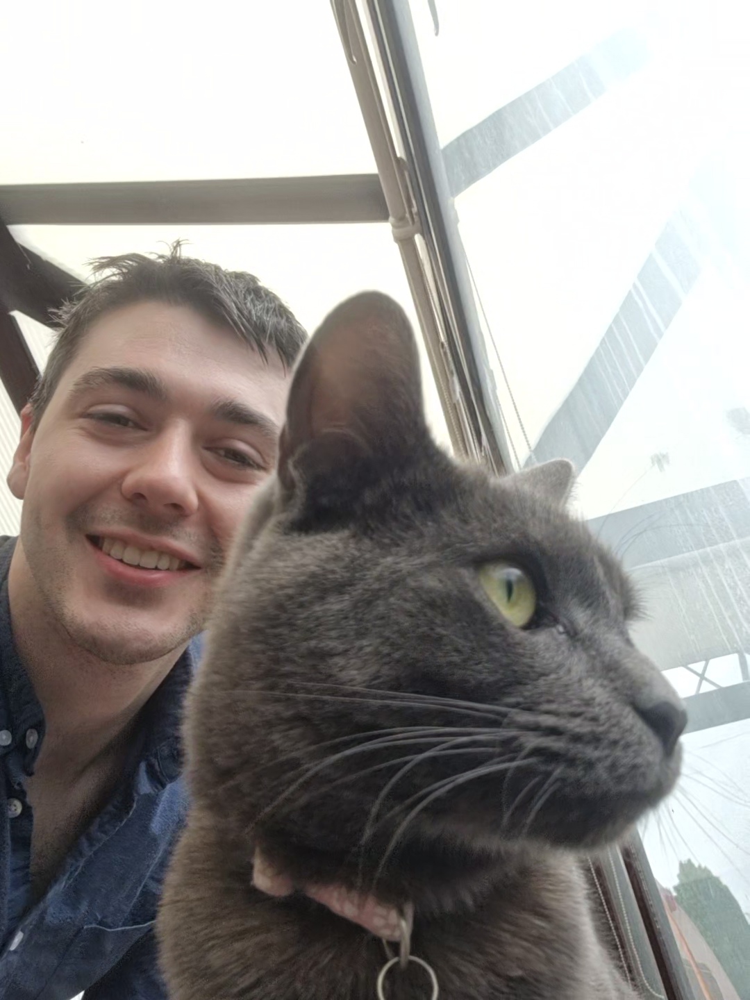 image-8