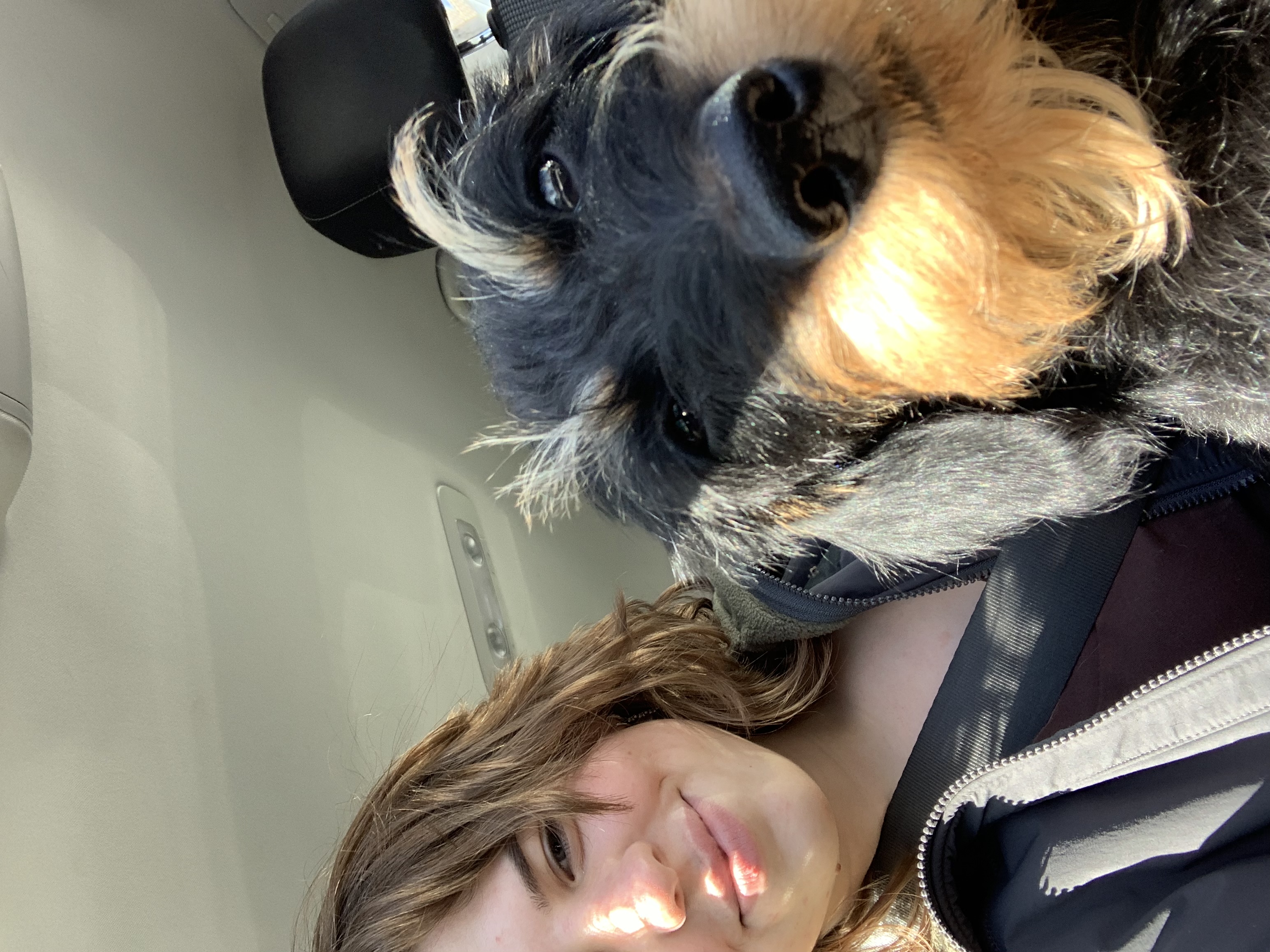 image-10