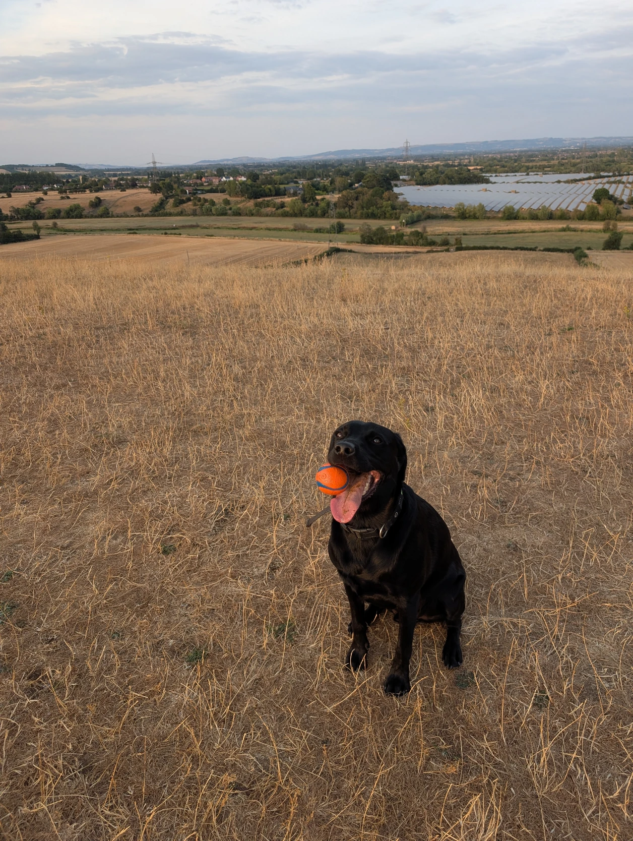 image-4