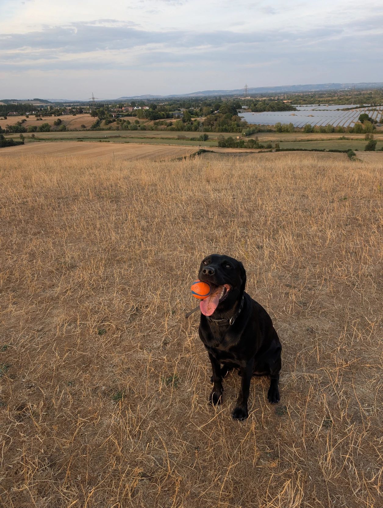 image-4