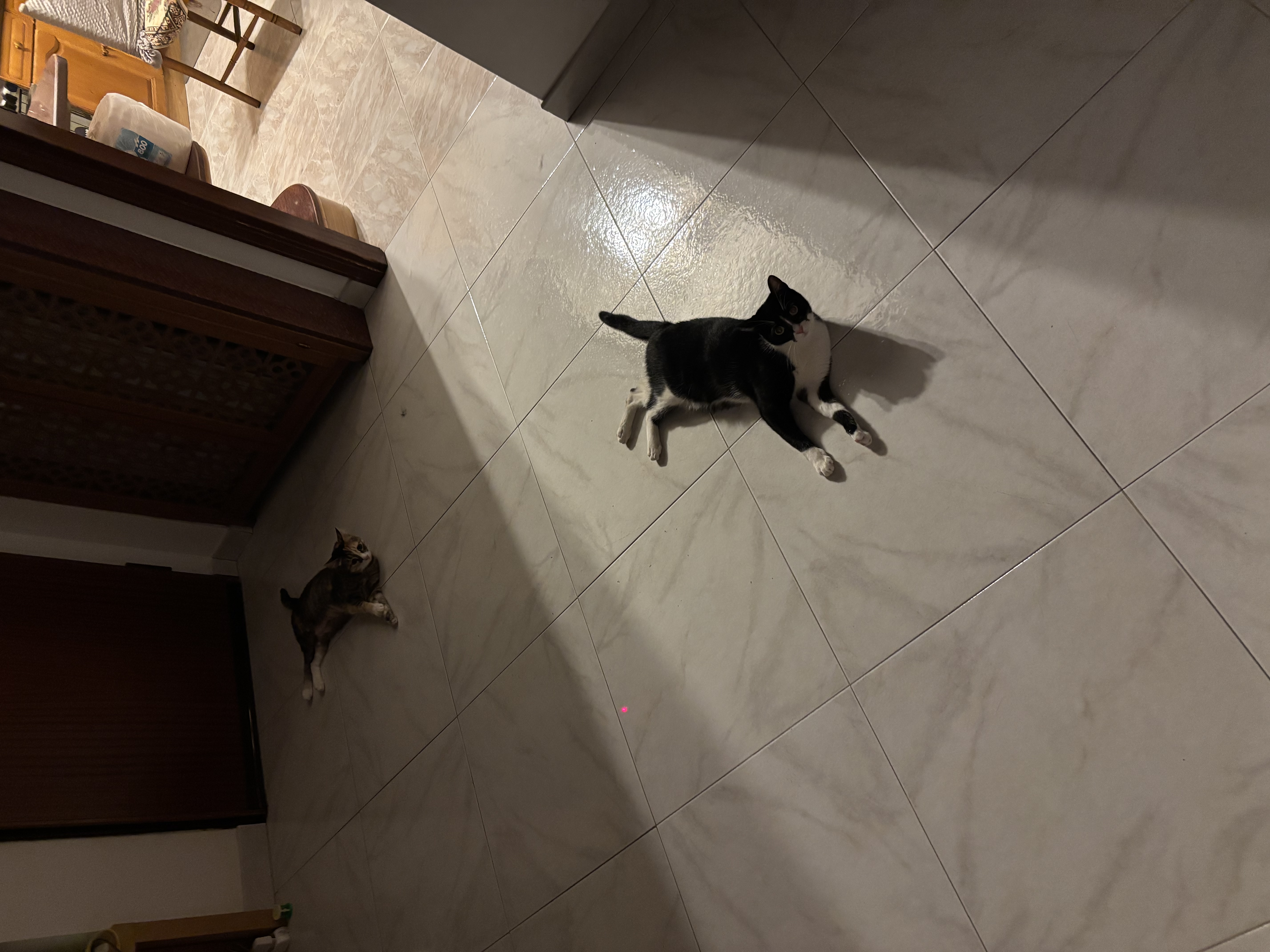 image-29