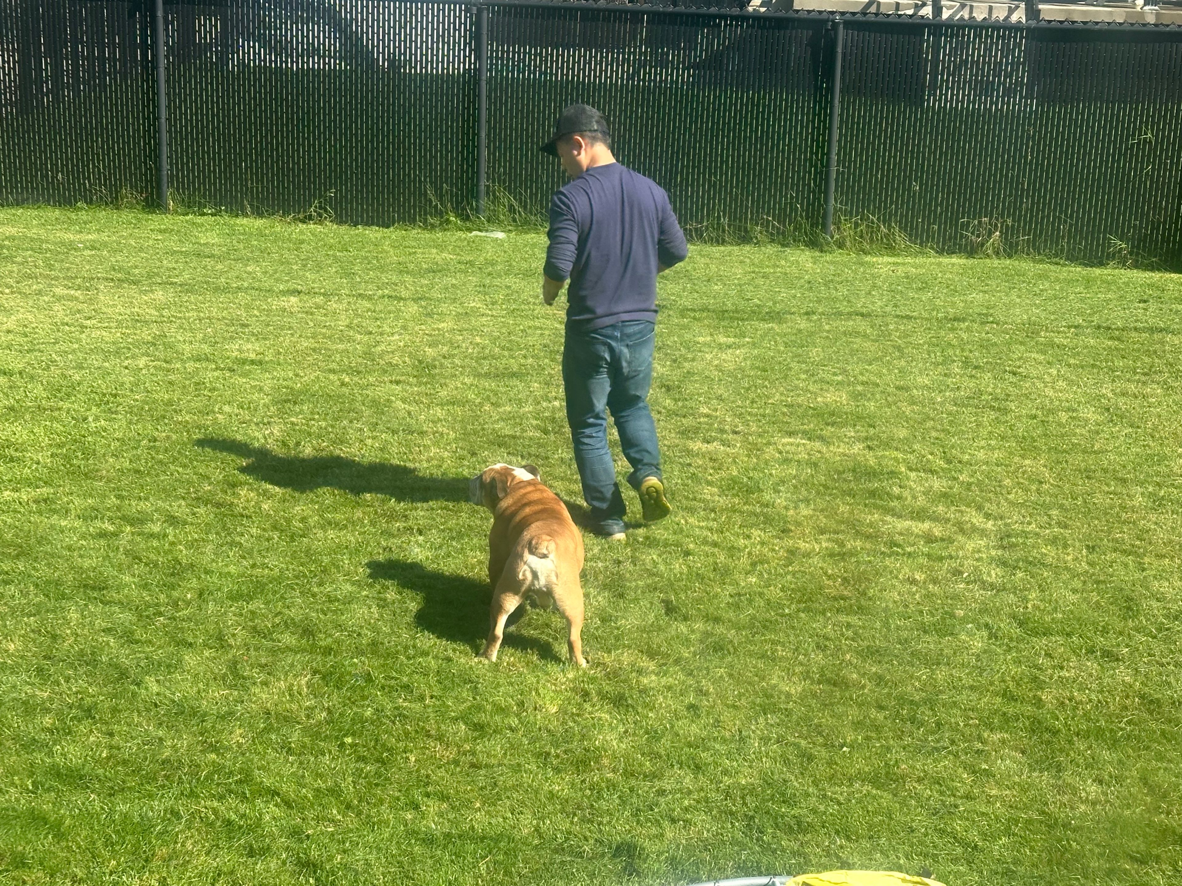 image-27