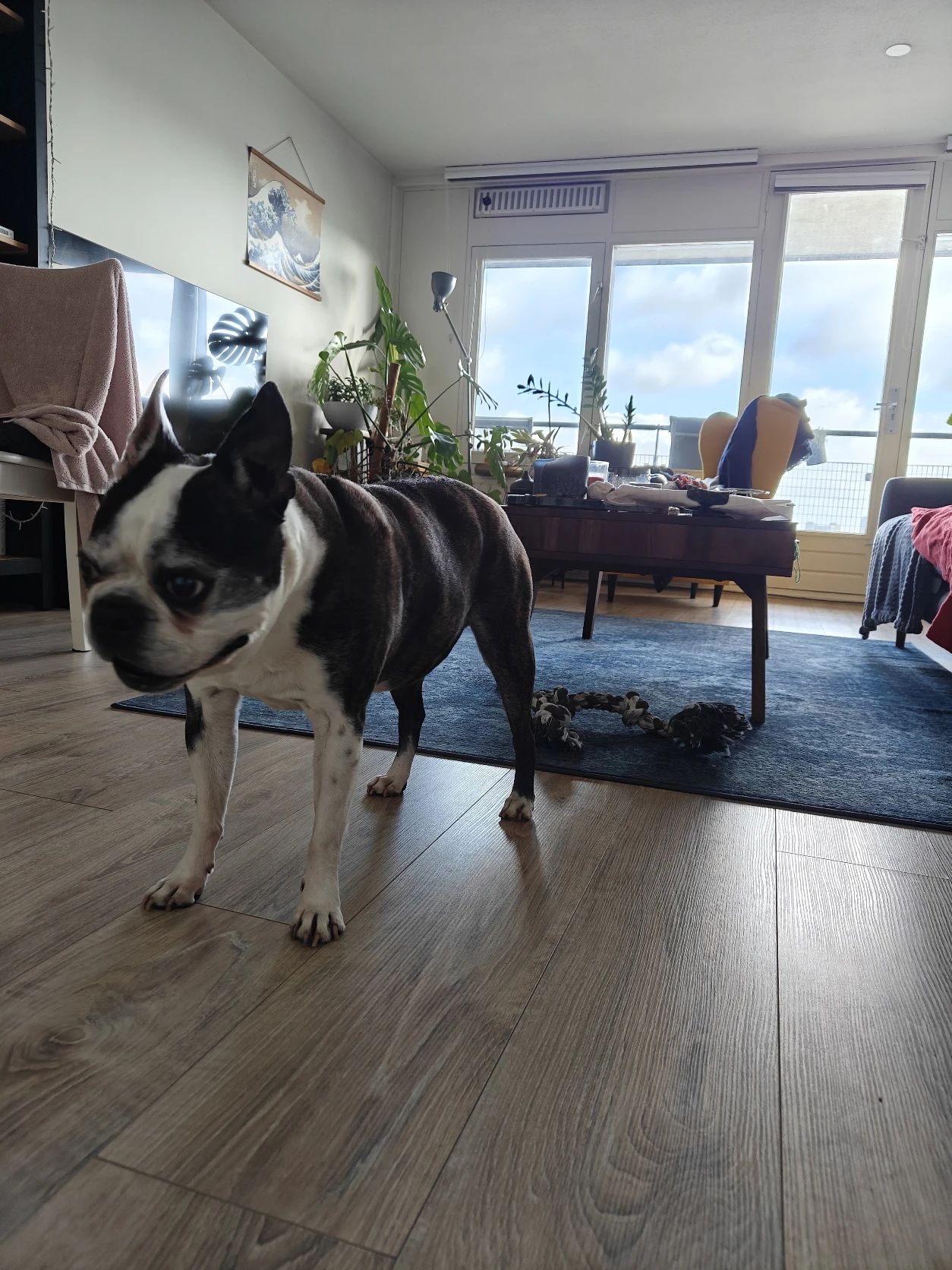 image-11