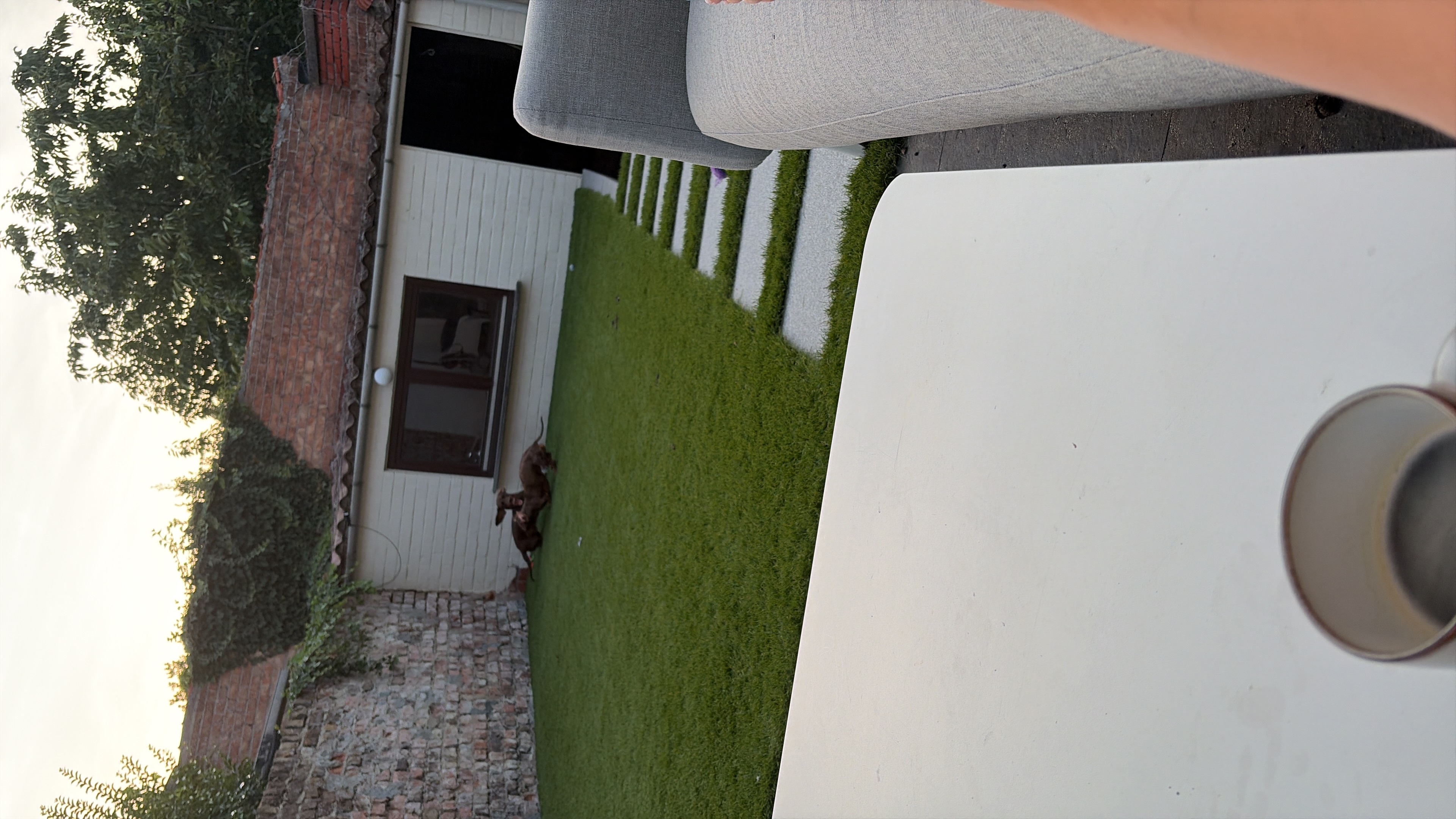 image-15