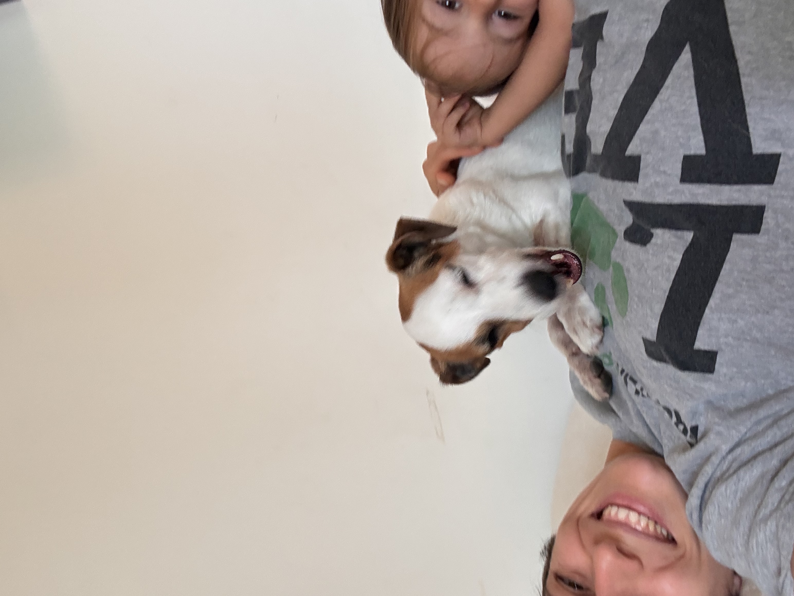 image-14