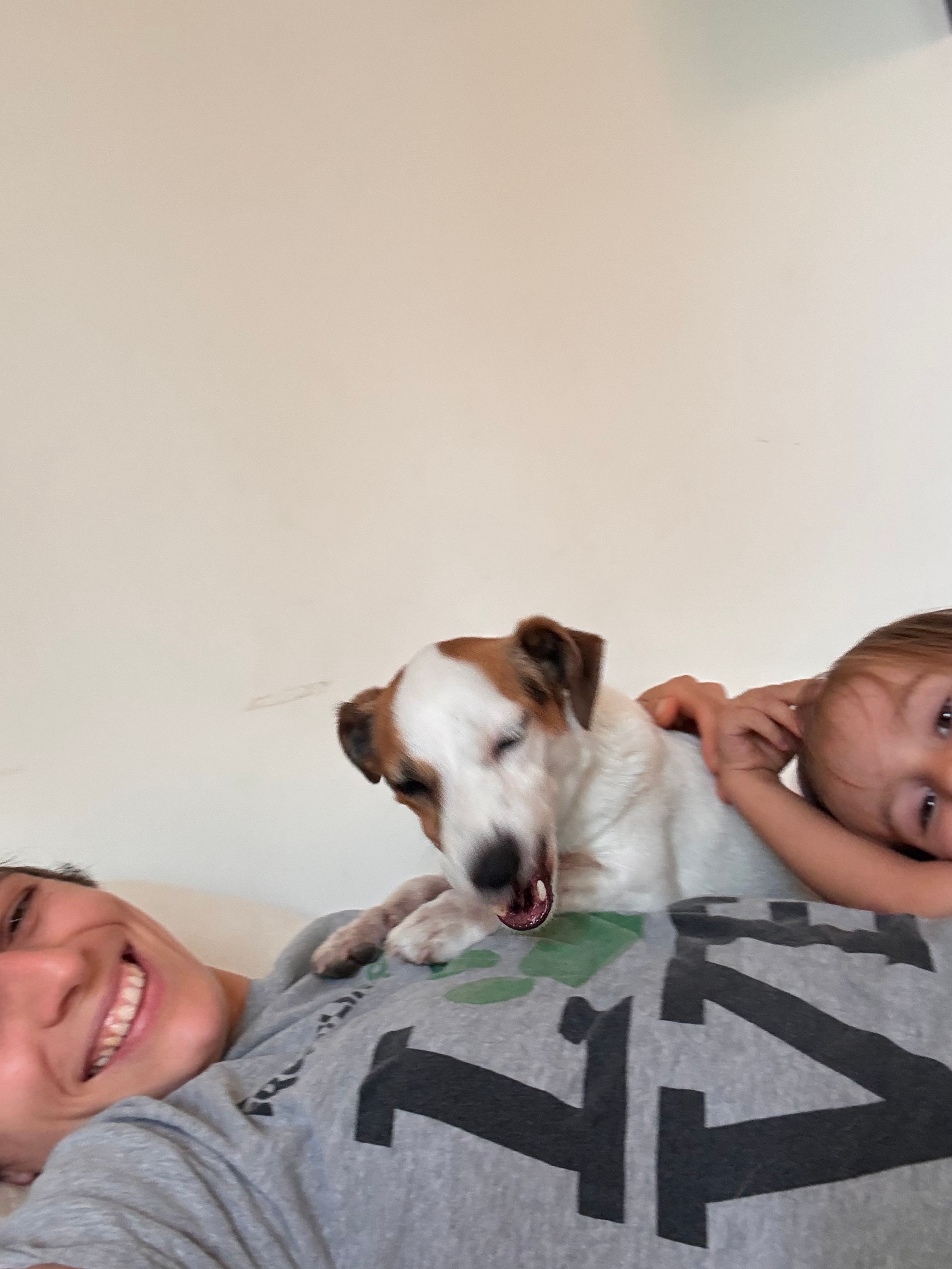 image-14