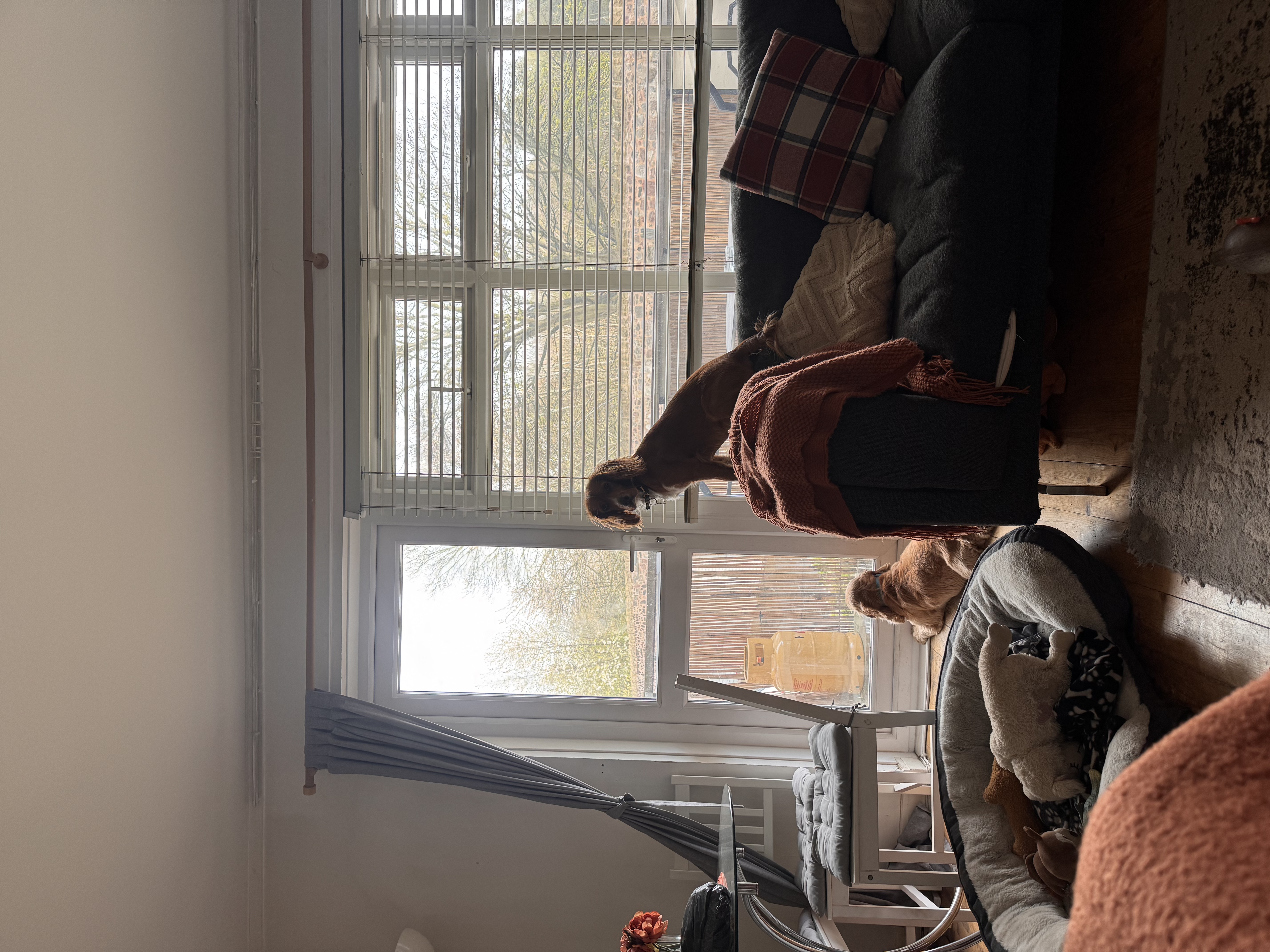 image-27