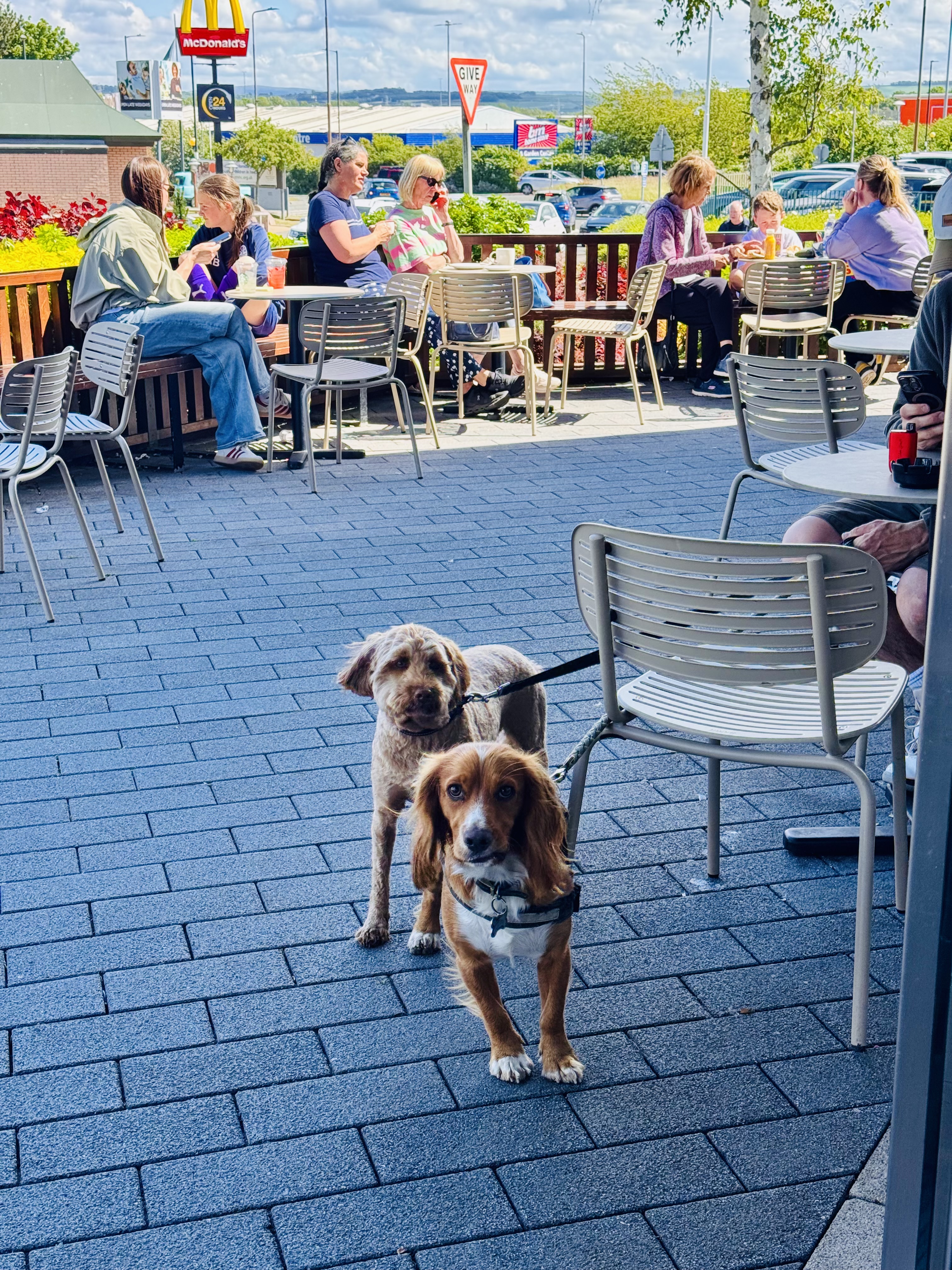 image-20