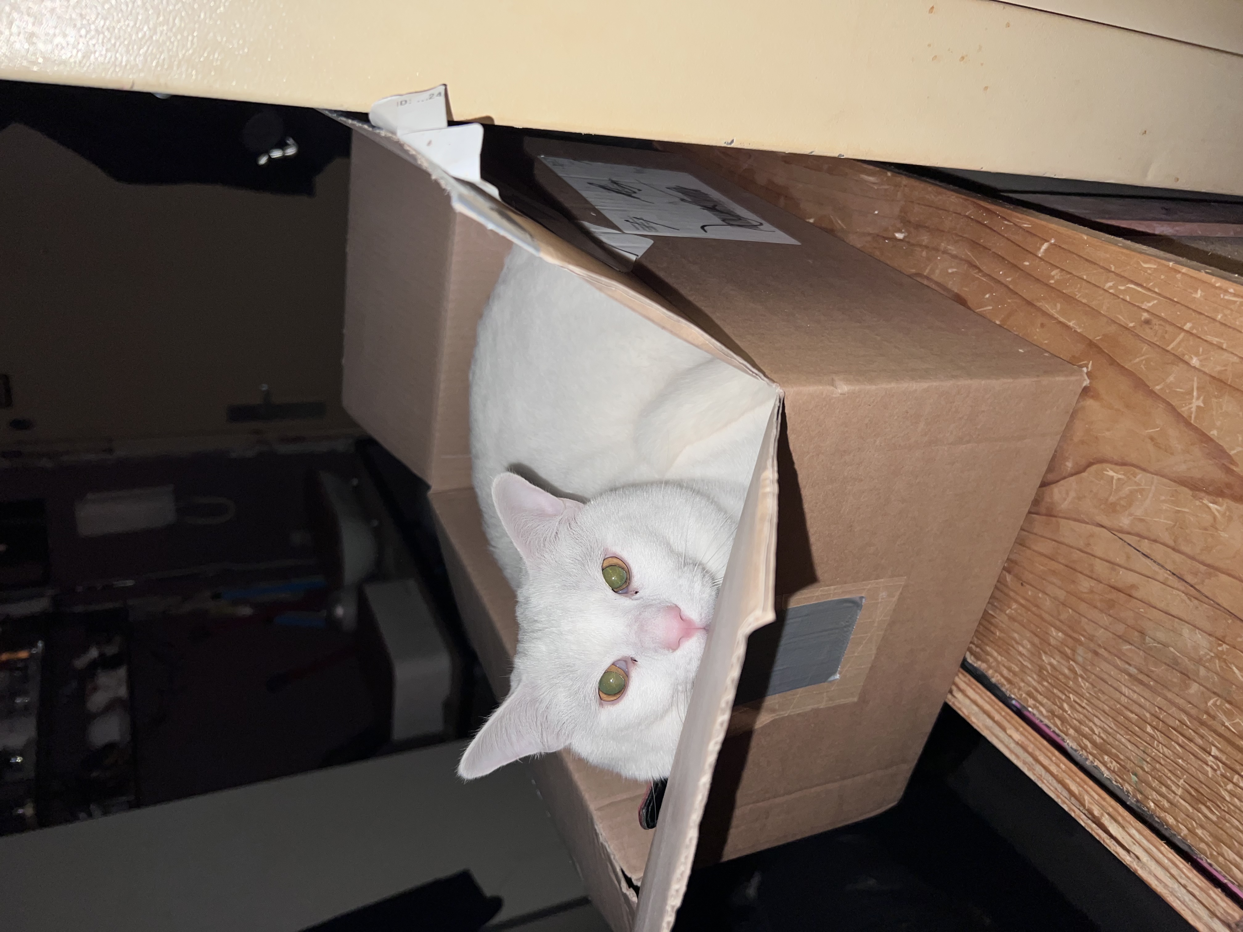 image-14