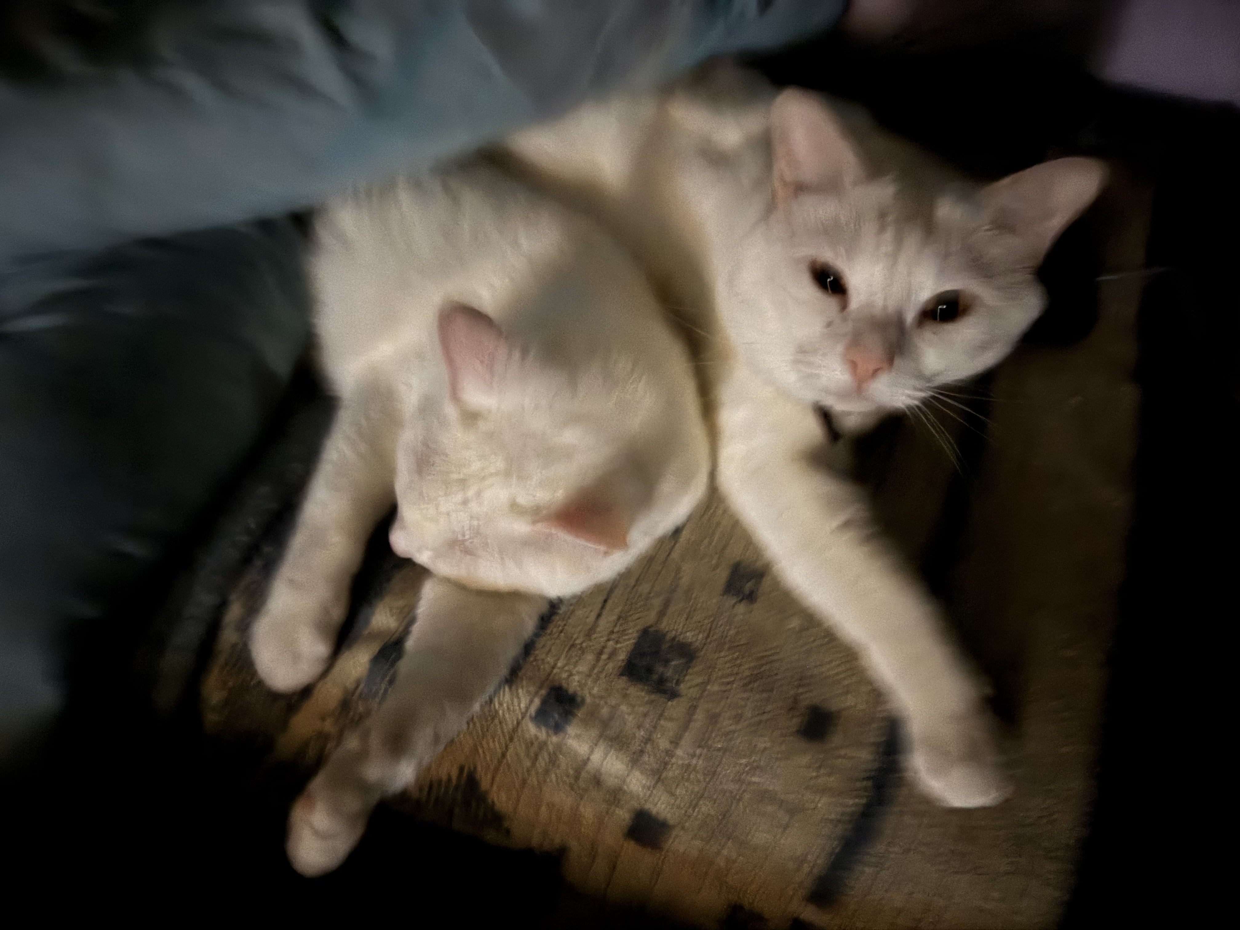 image-11