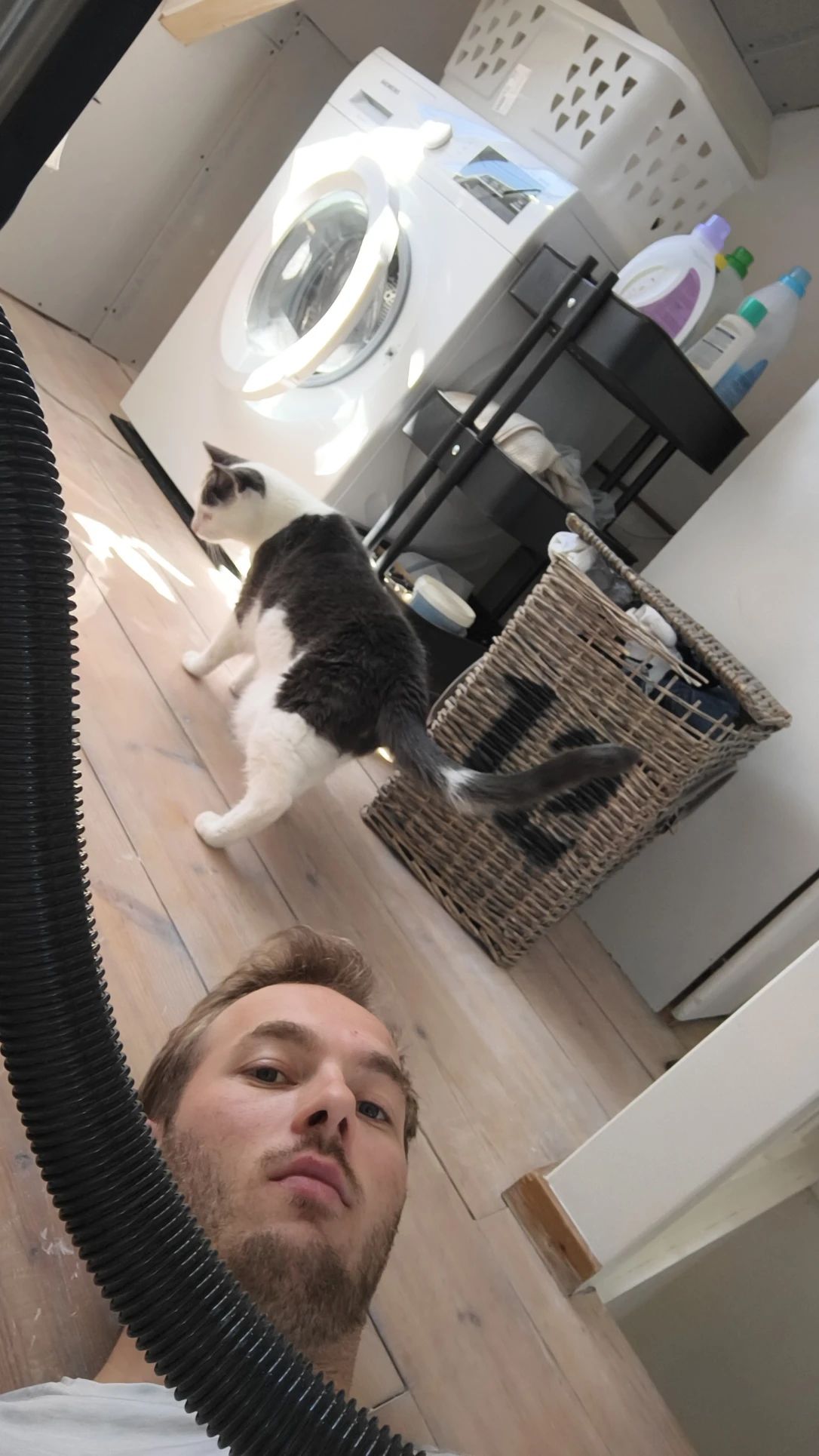 image-7