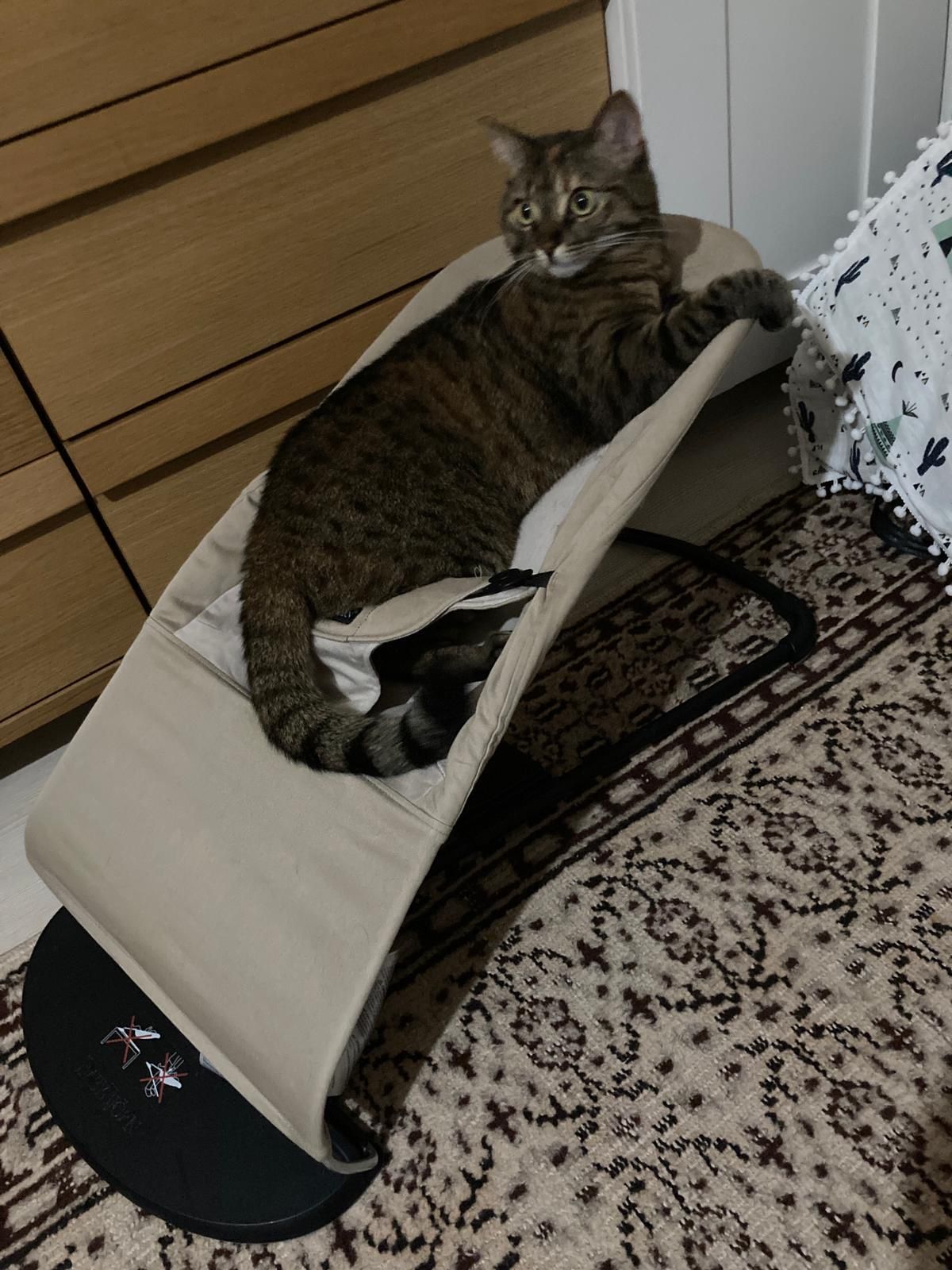 image-11