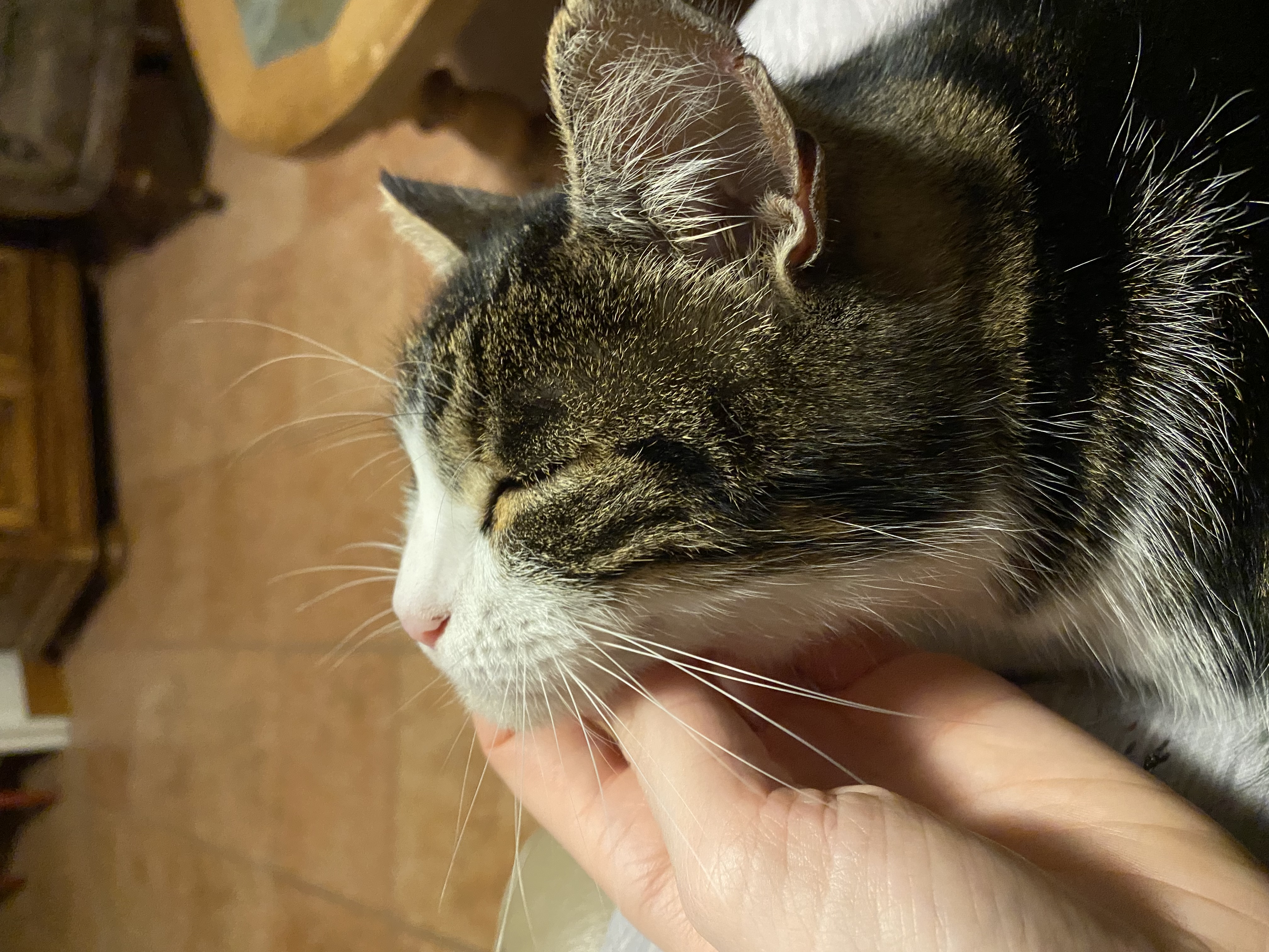 image-5