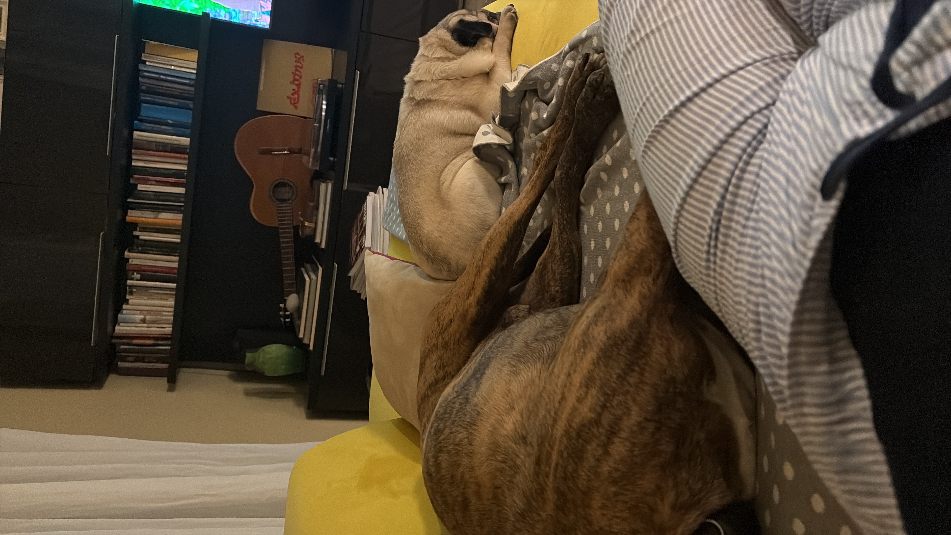 image-8